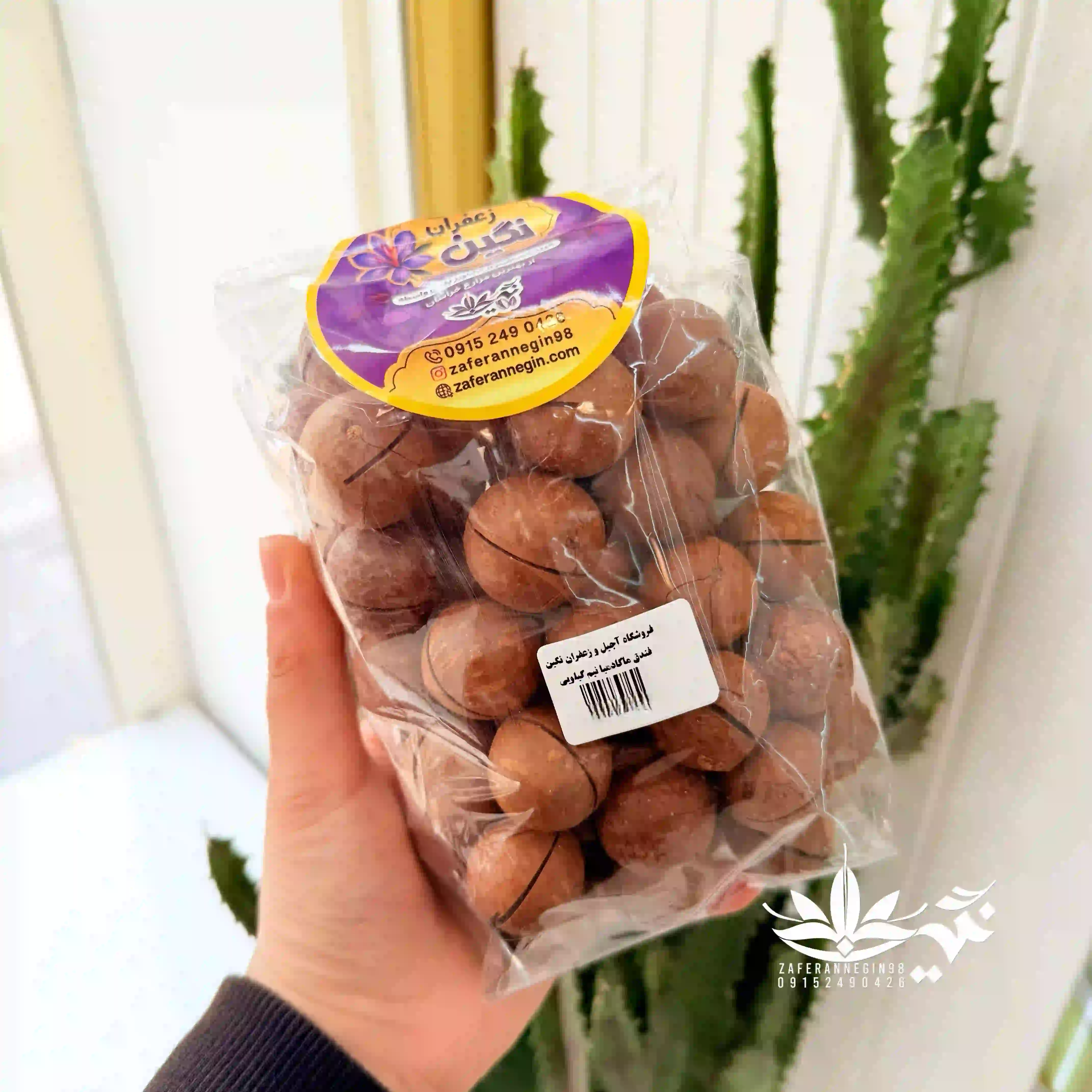 فندق ماکادمیا 