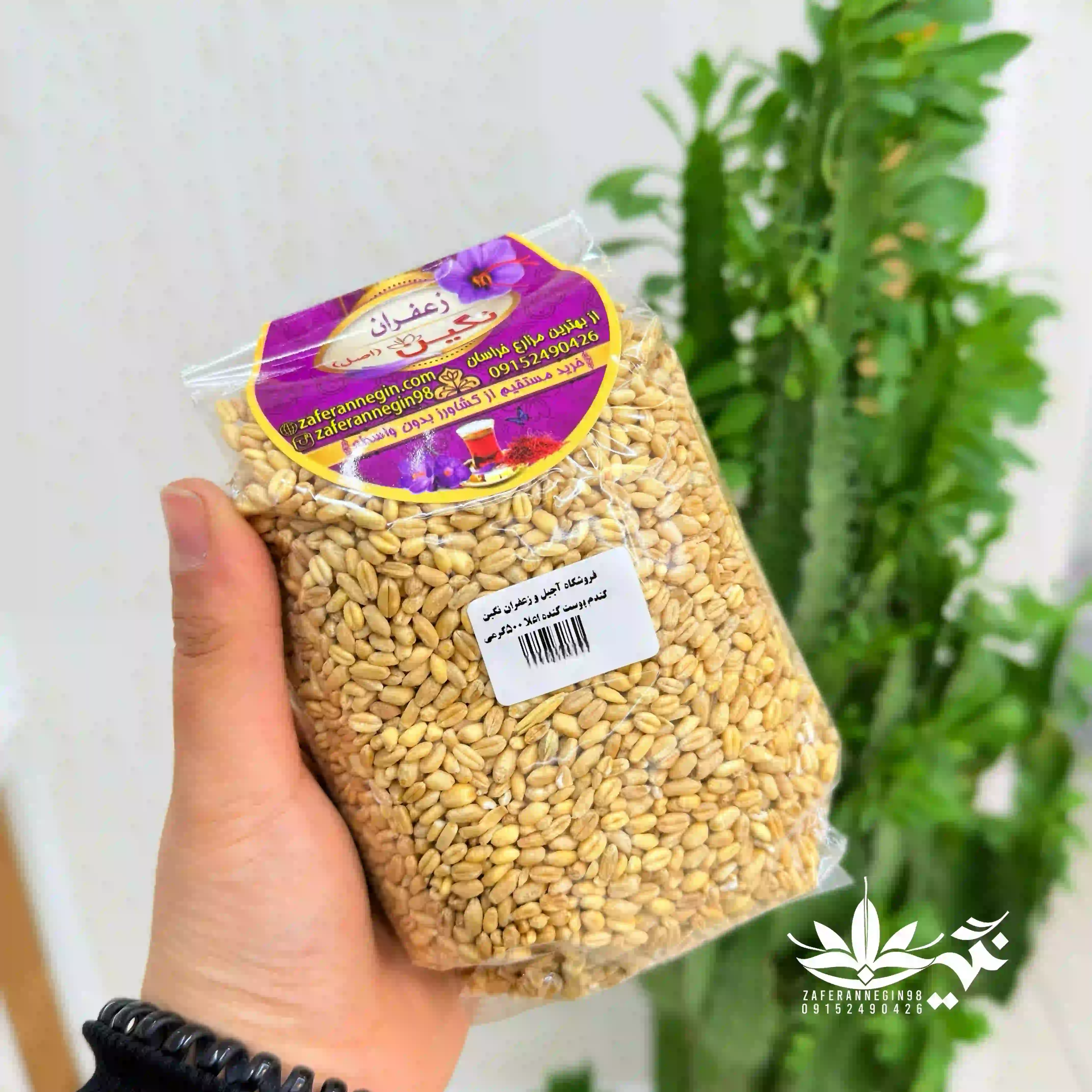 گندم پوست کنده