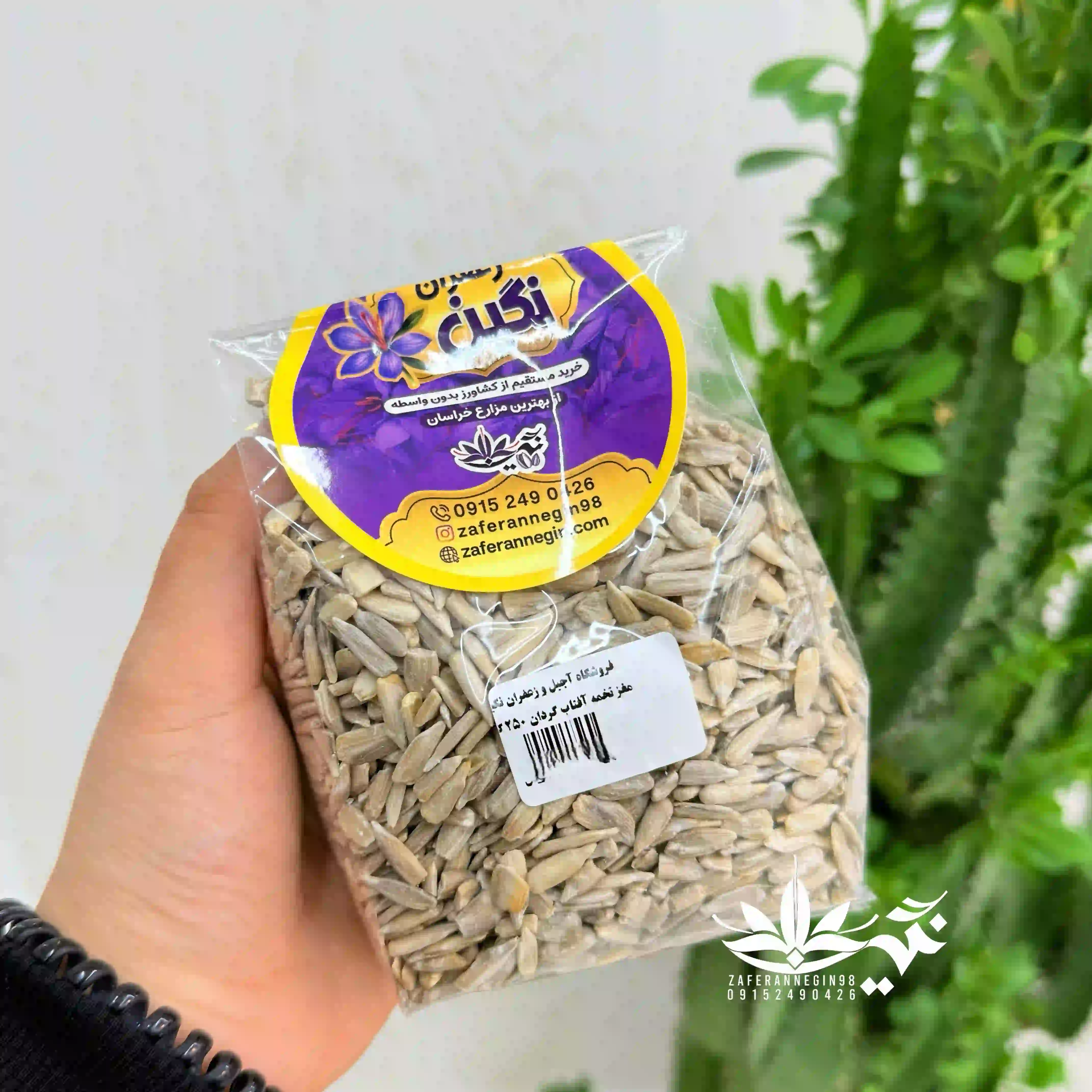 مغز تخمه آفتابگردان