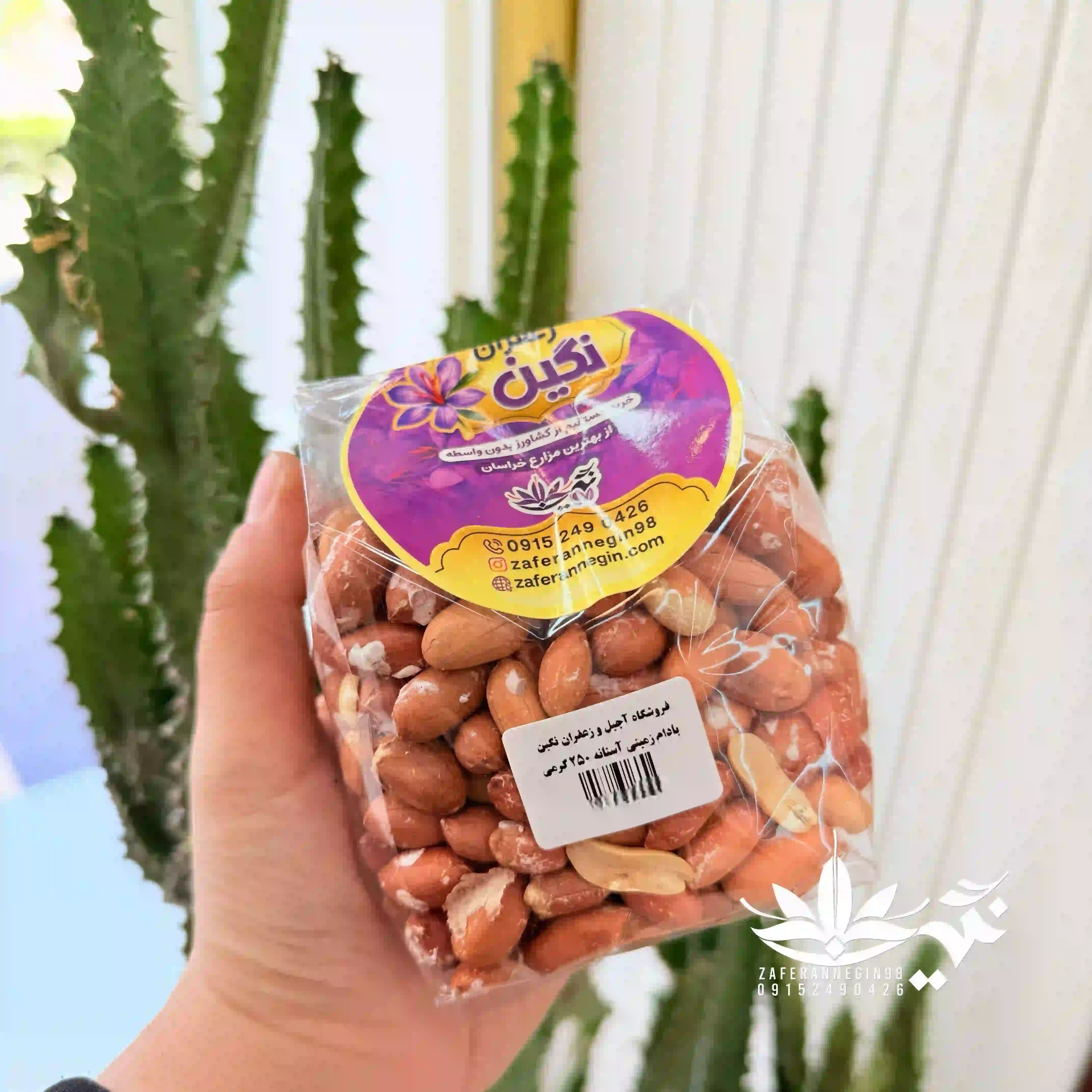 مغز بادام زمینی آستانه