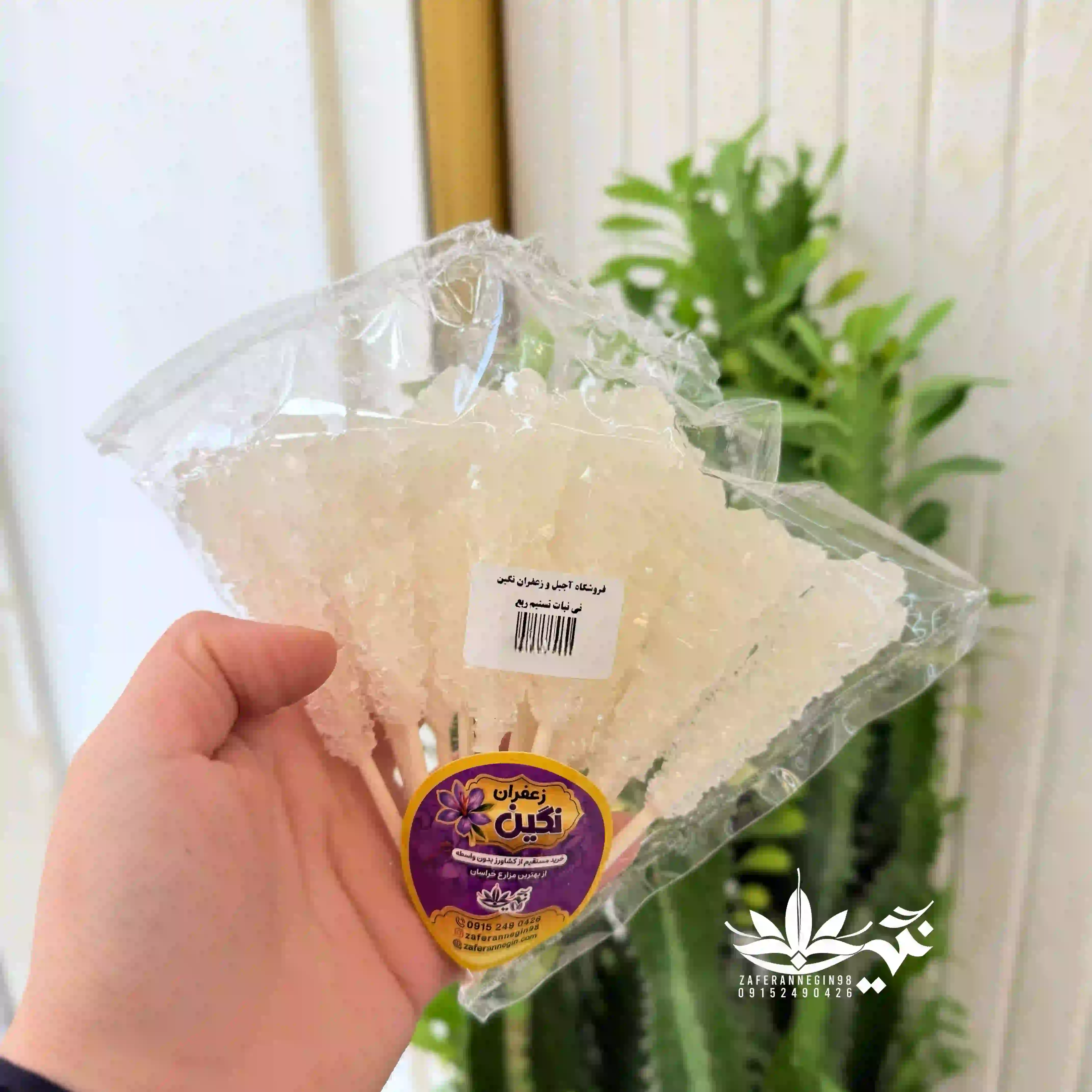 نی نبات چوبی تسنیم سفید 