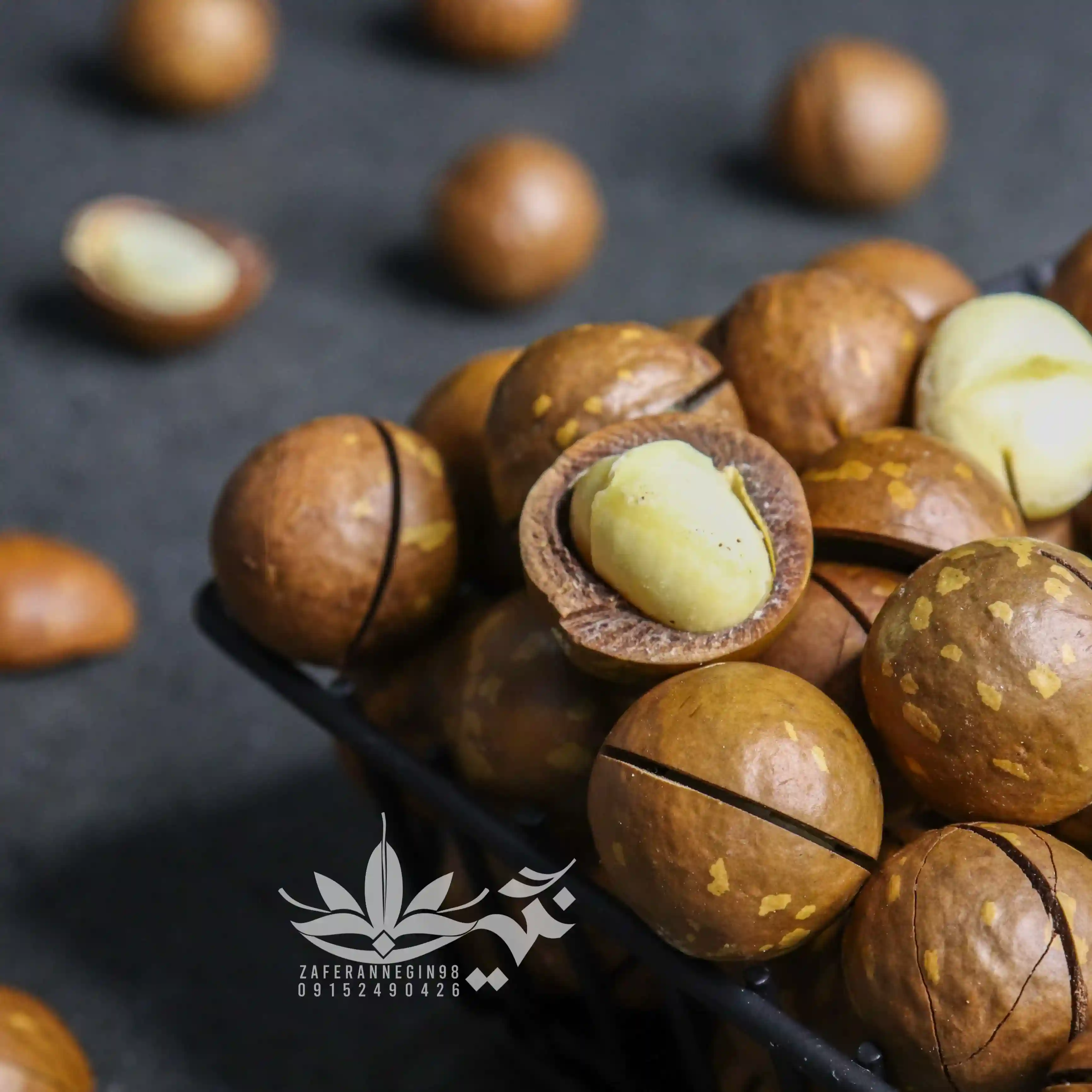 فندق ماکادمیا 