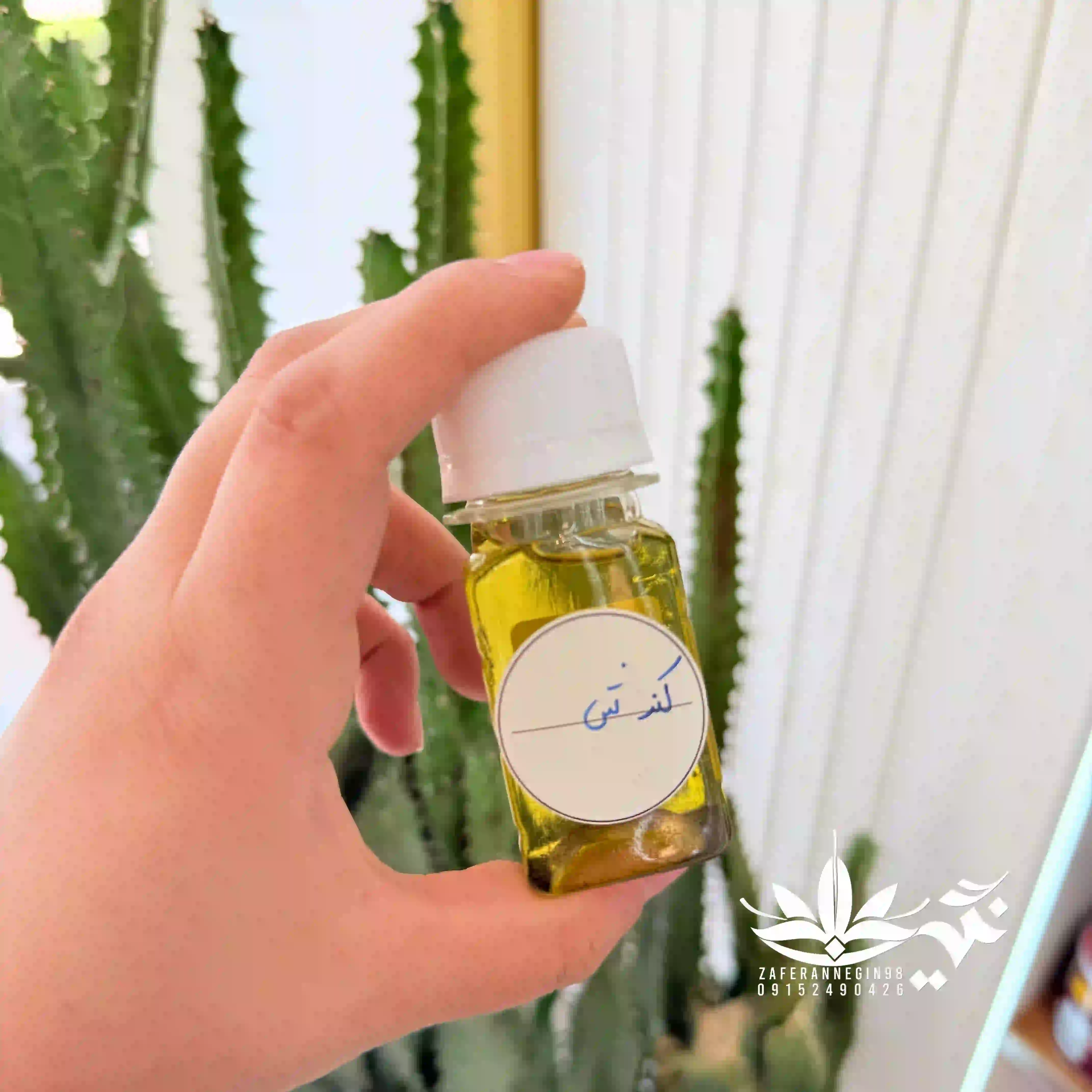 روغن کندش