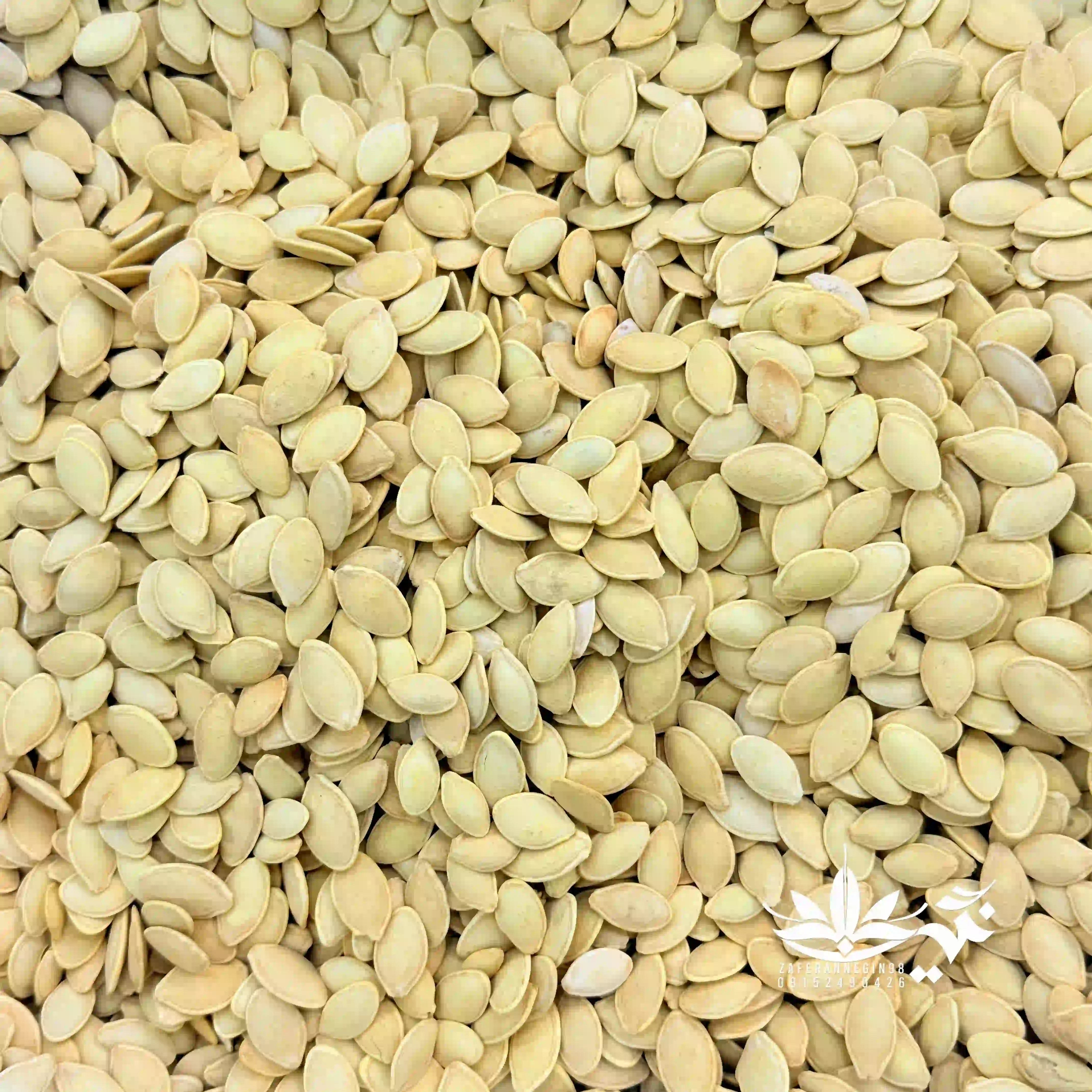 تخمه کدو‌رژیمی کم نمک لوکس