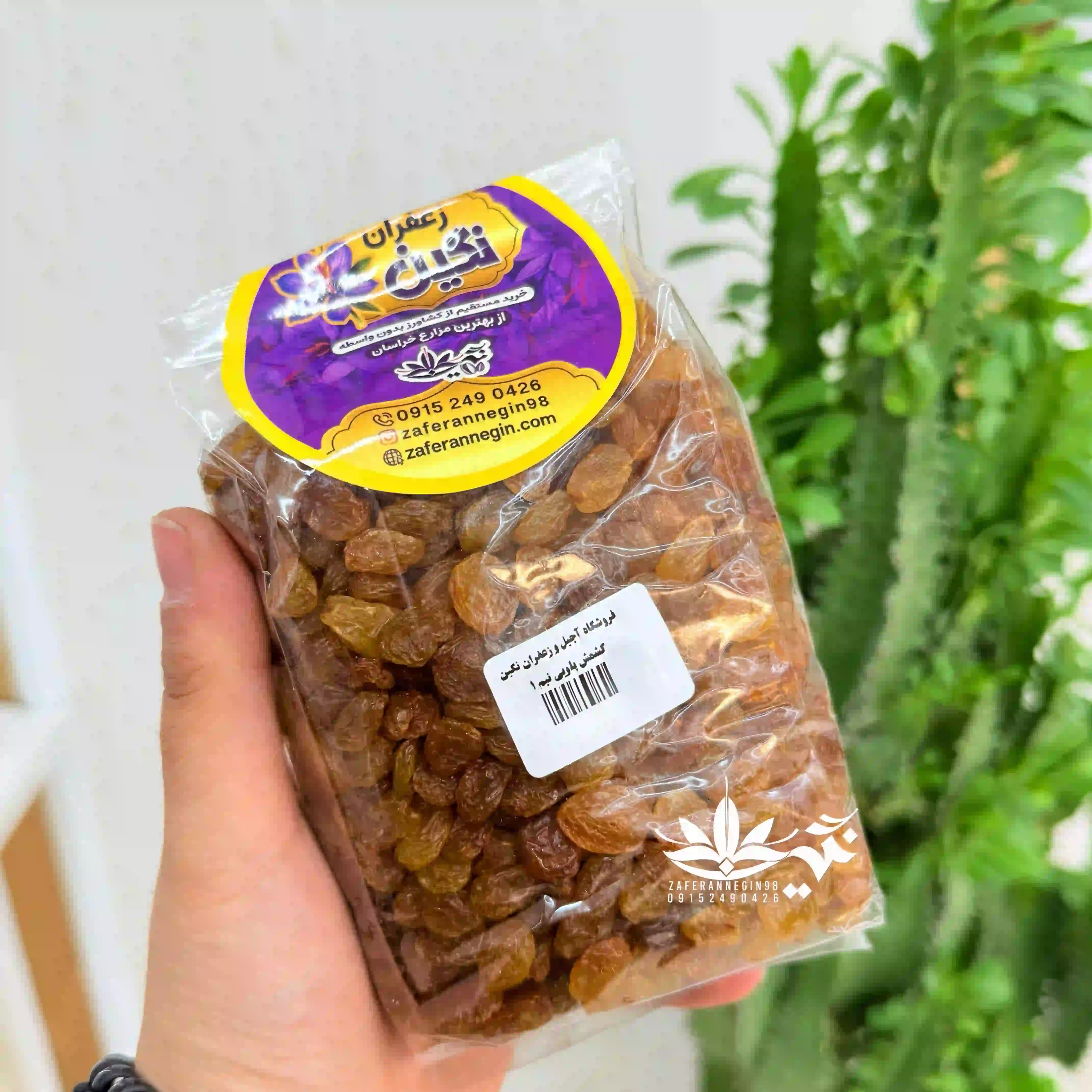 کشمش پلویی طلایی 