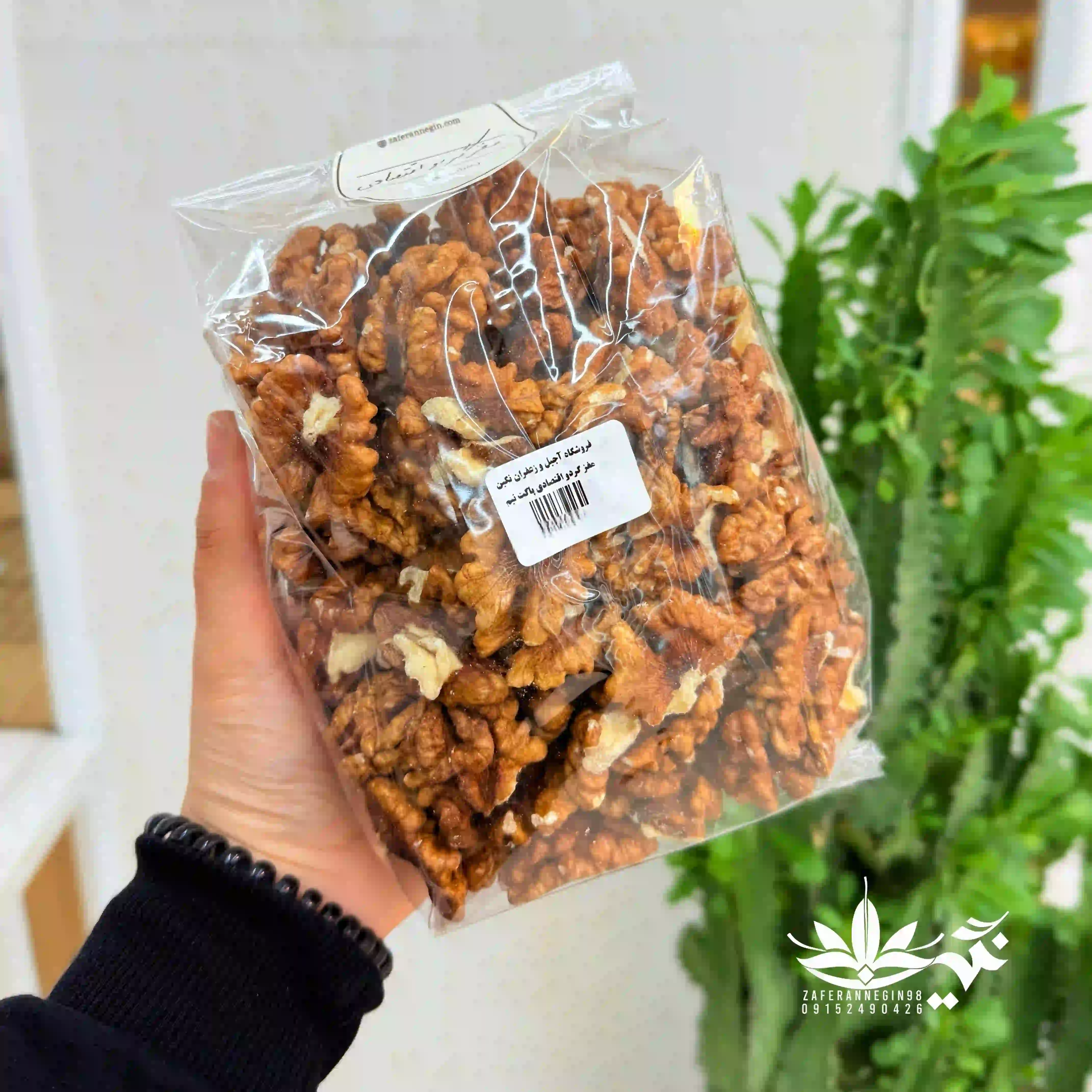 مغز گردو اقتصادی