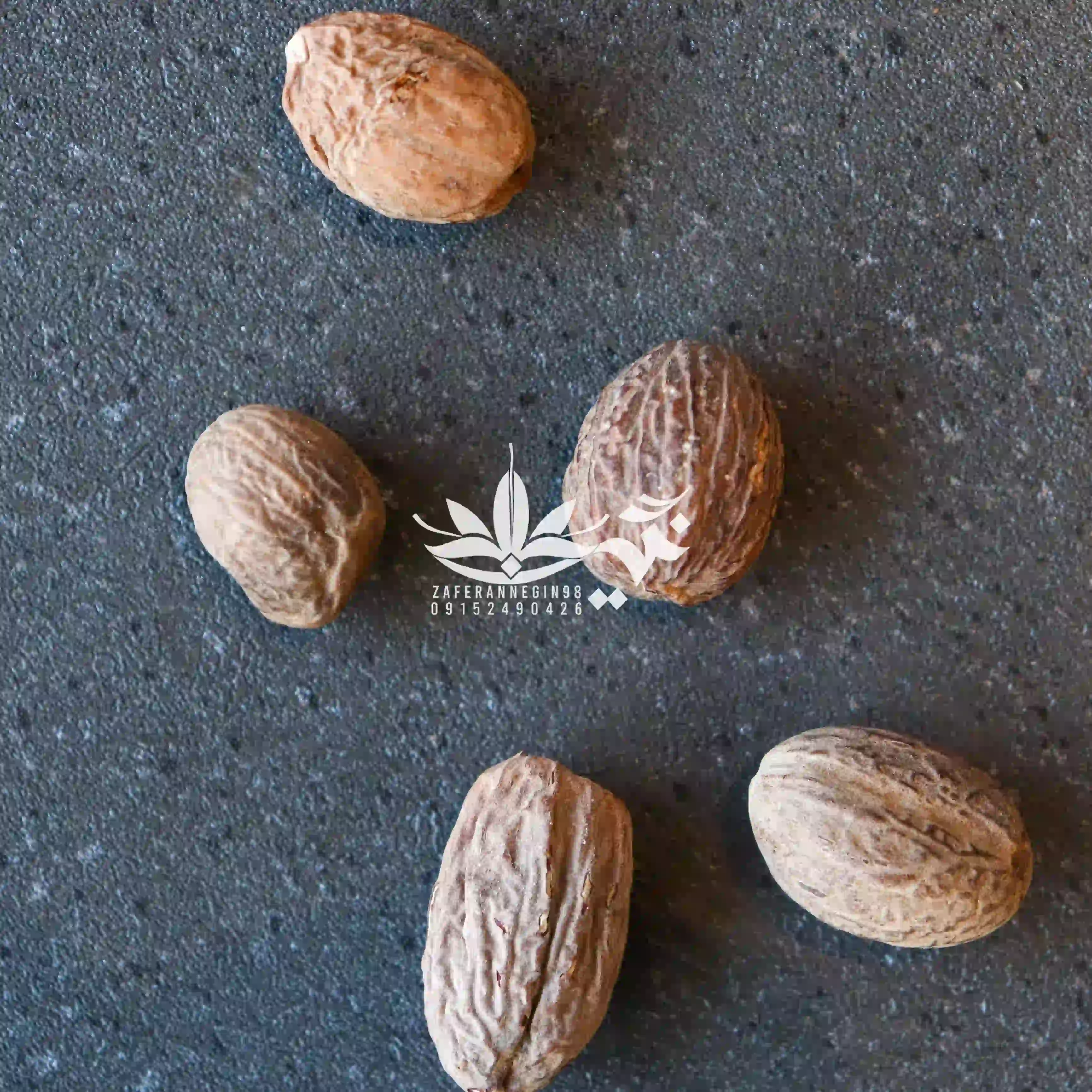 جوز هندی