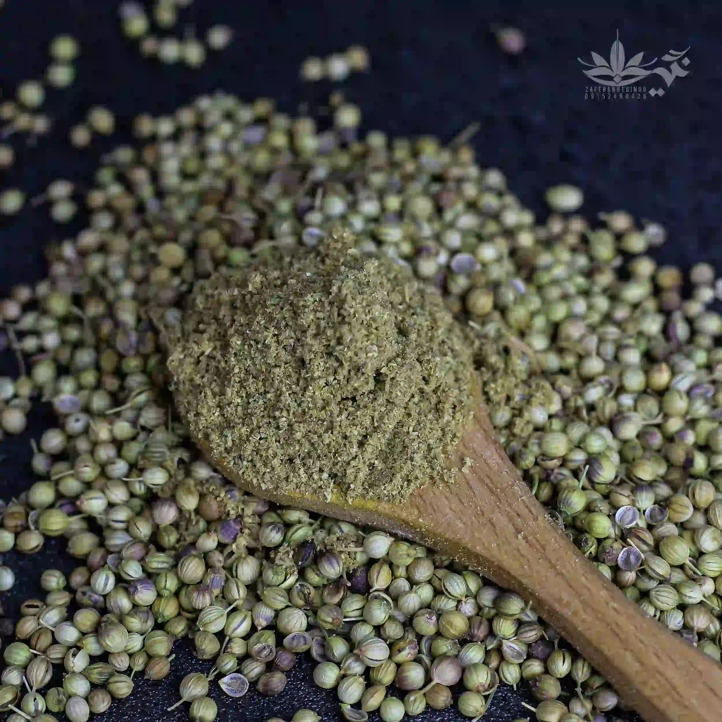 پودر تخم گشنیز 