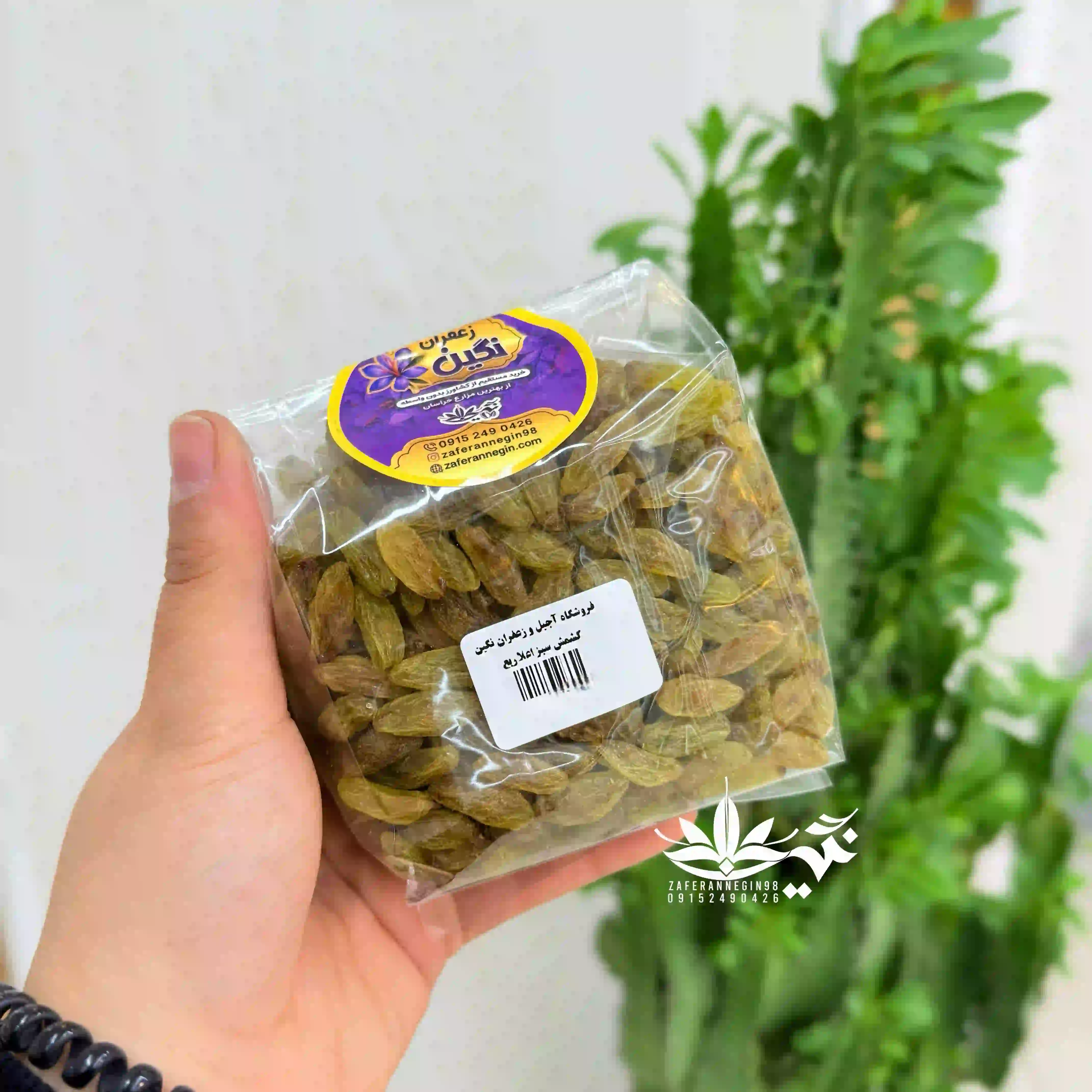 کشمش سبز اعلا 