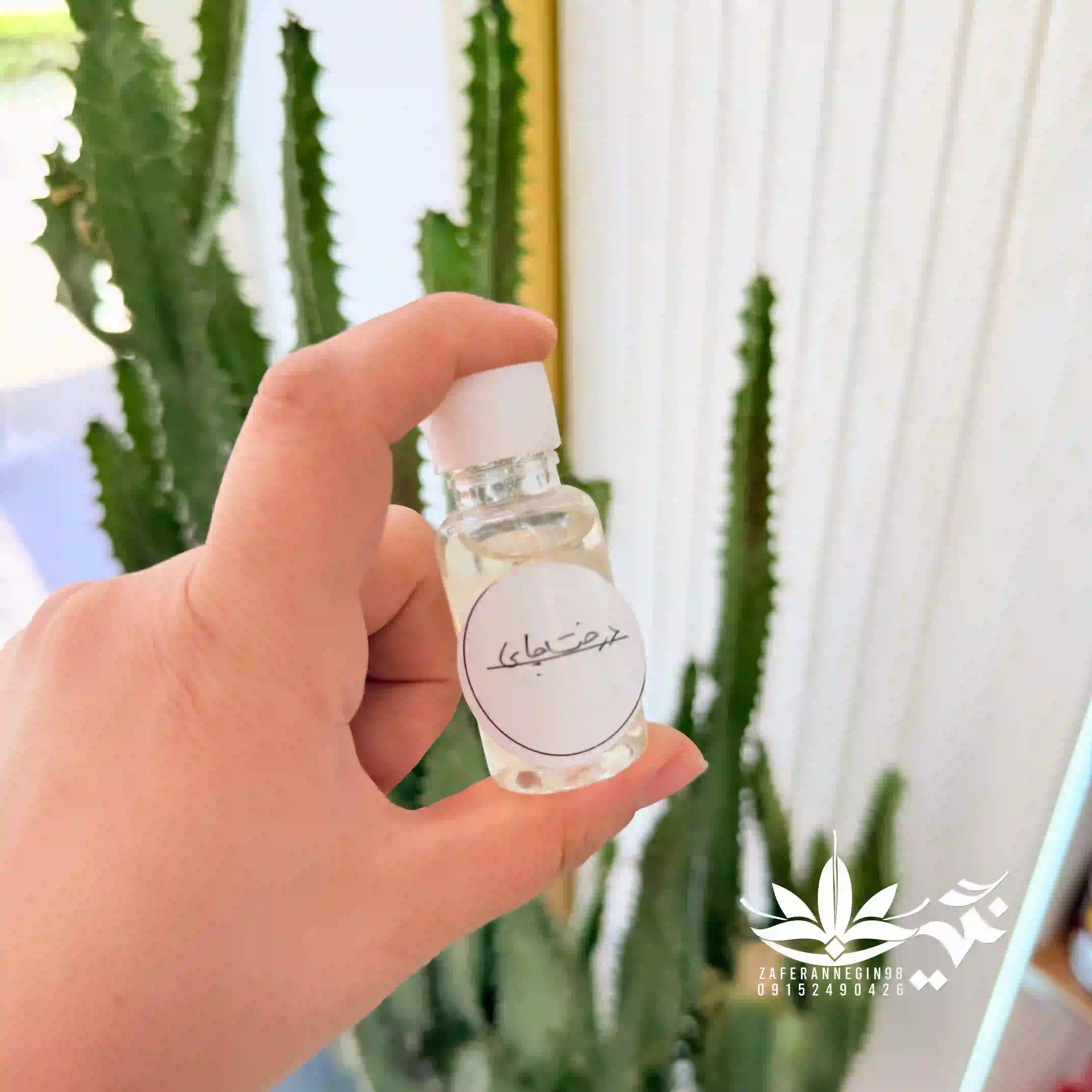 روغن درخت چای