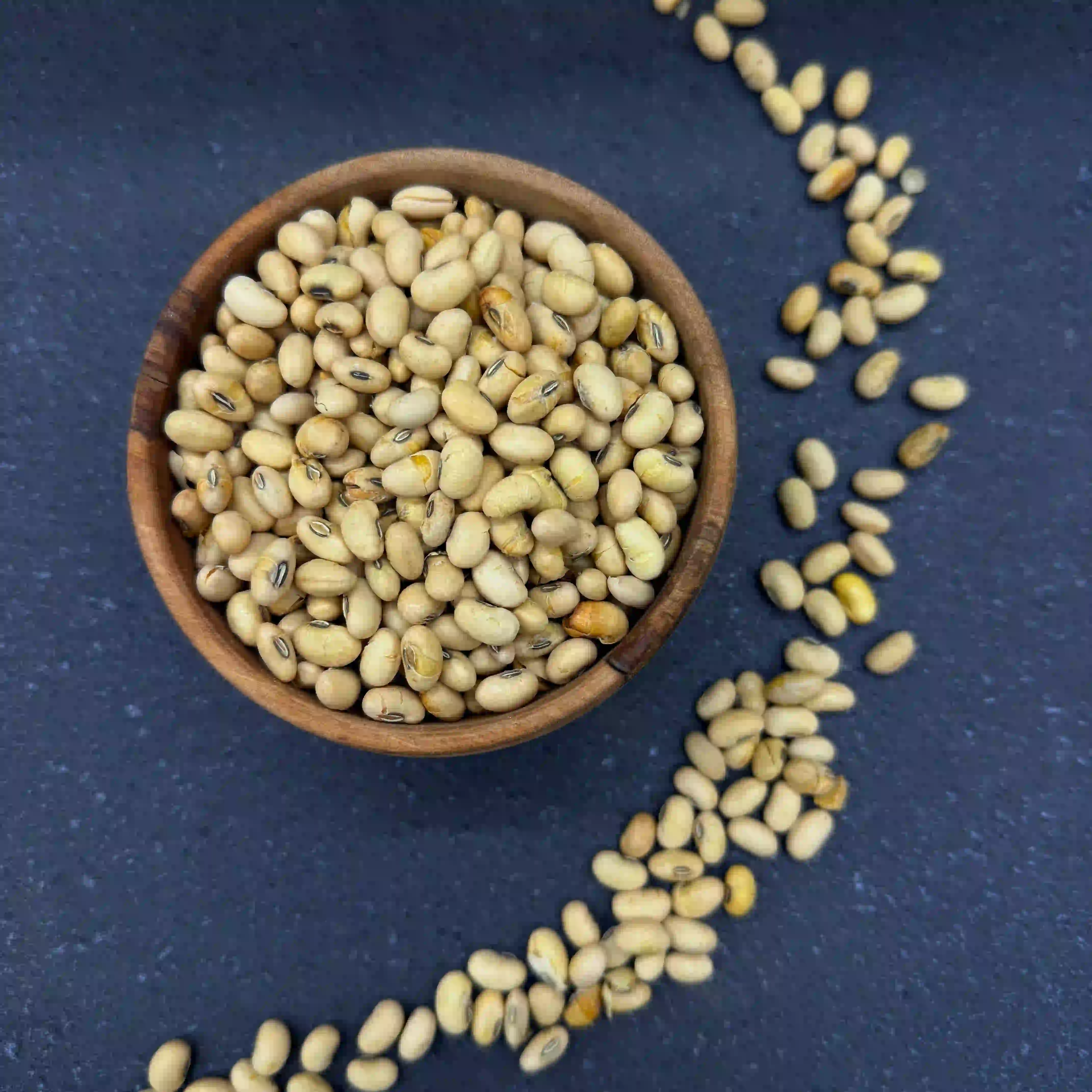 سویا آجیلی