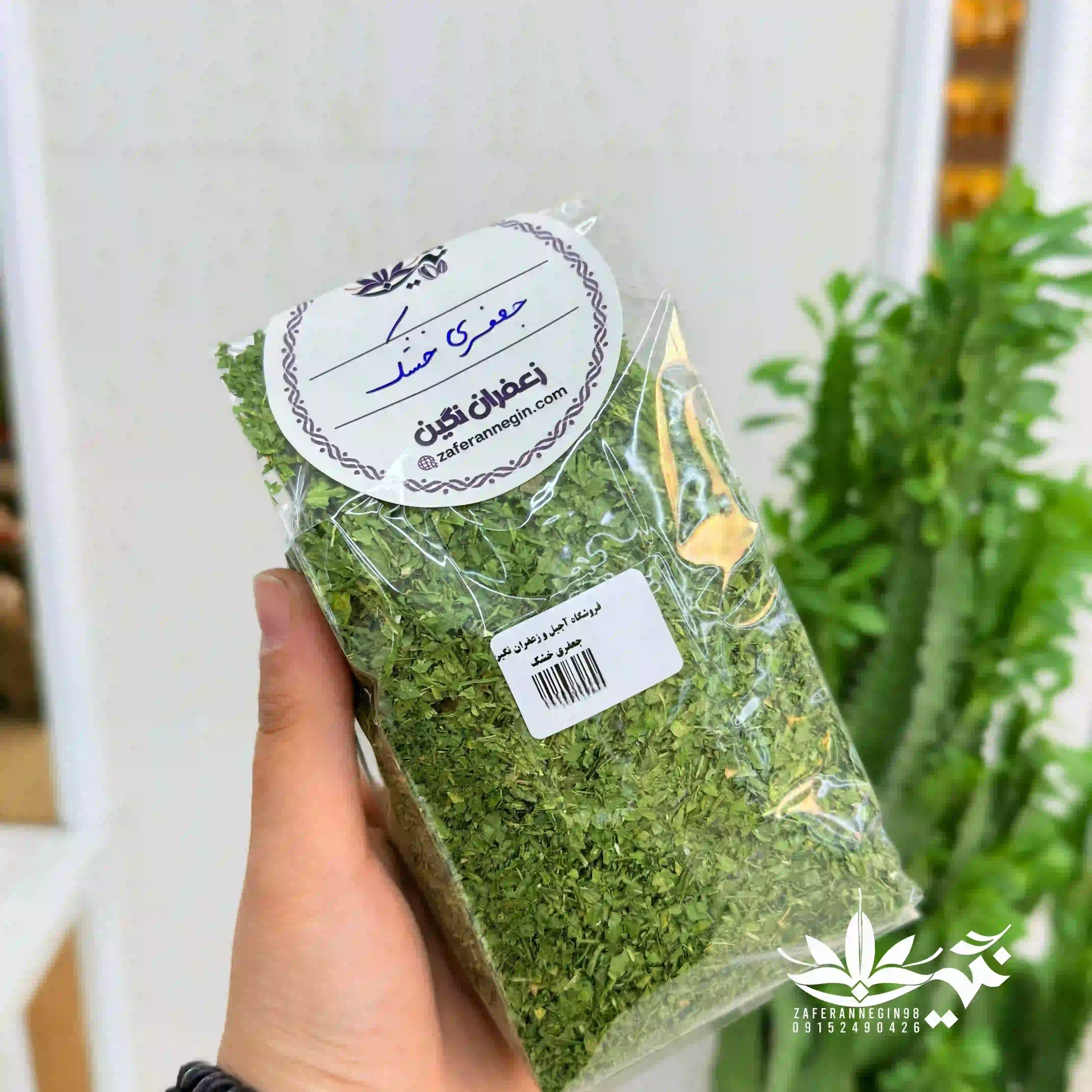 جعفری خشک 