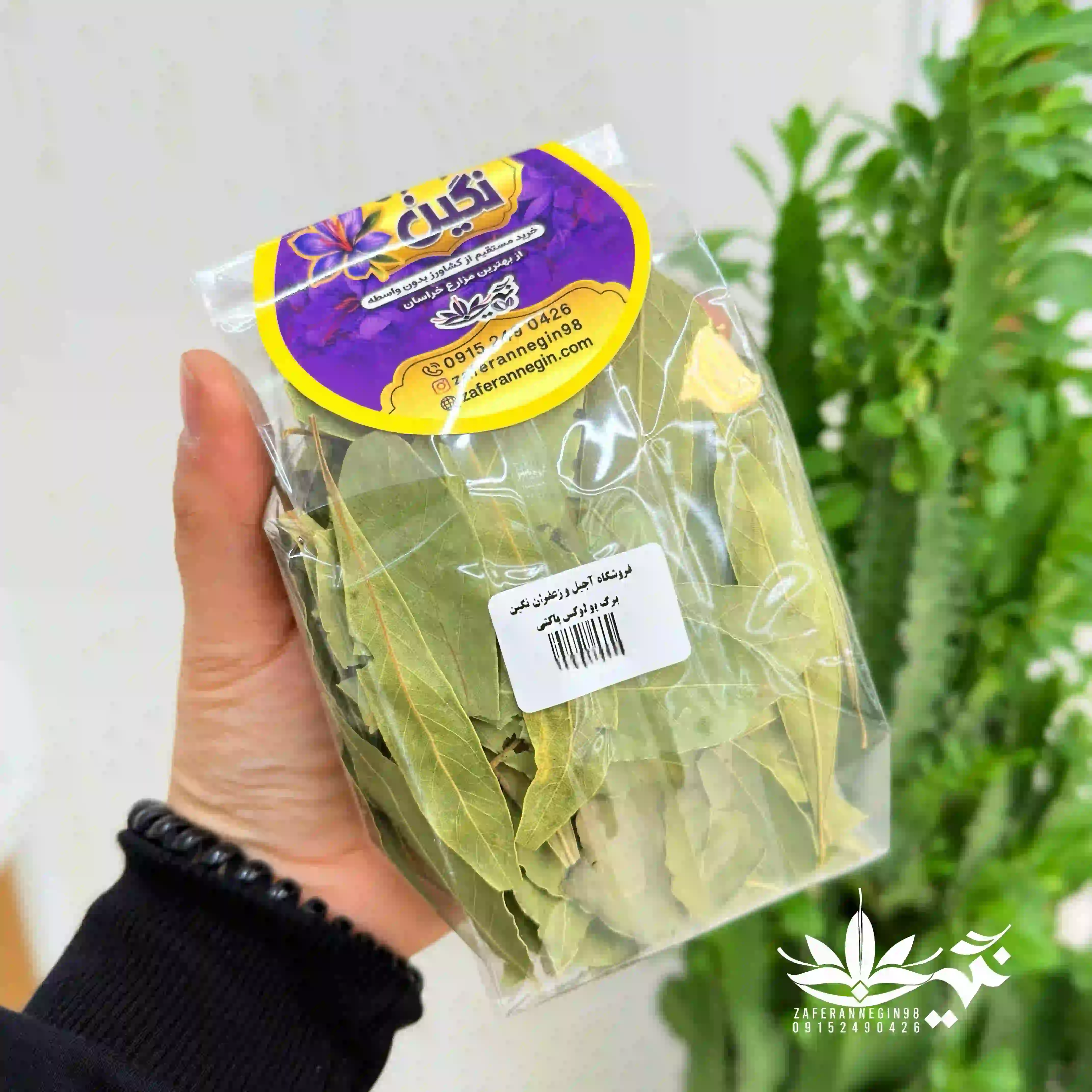 برگ بو لوکس