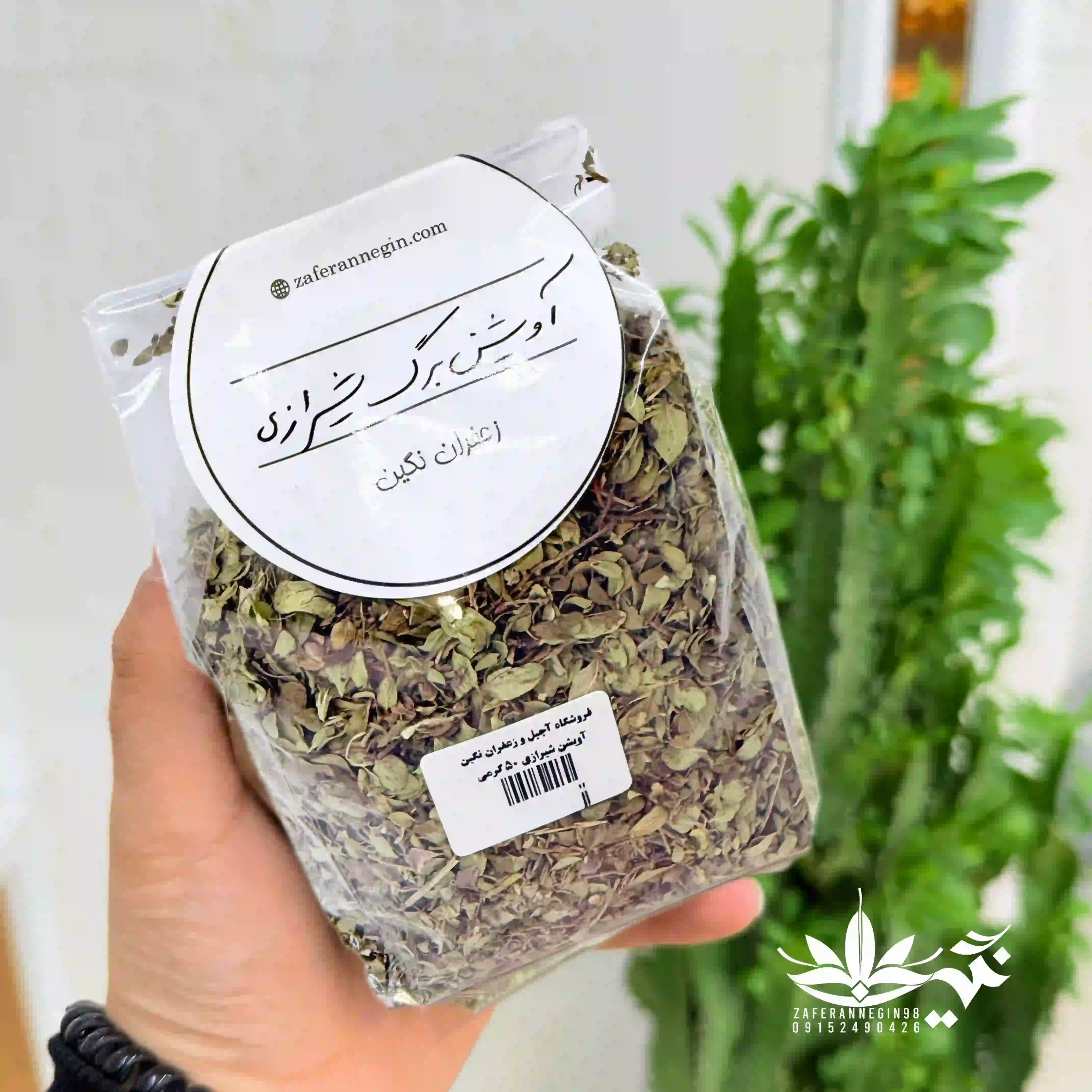 برگ آویشن شیرازی 