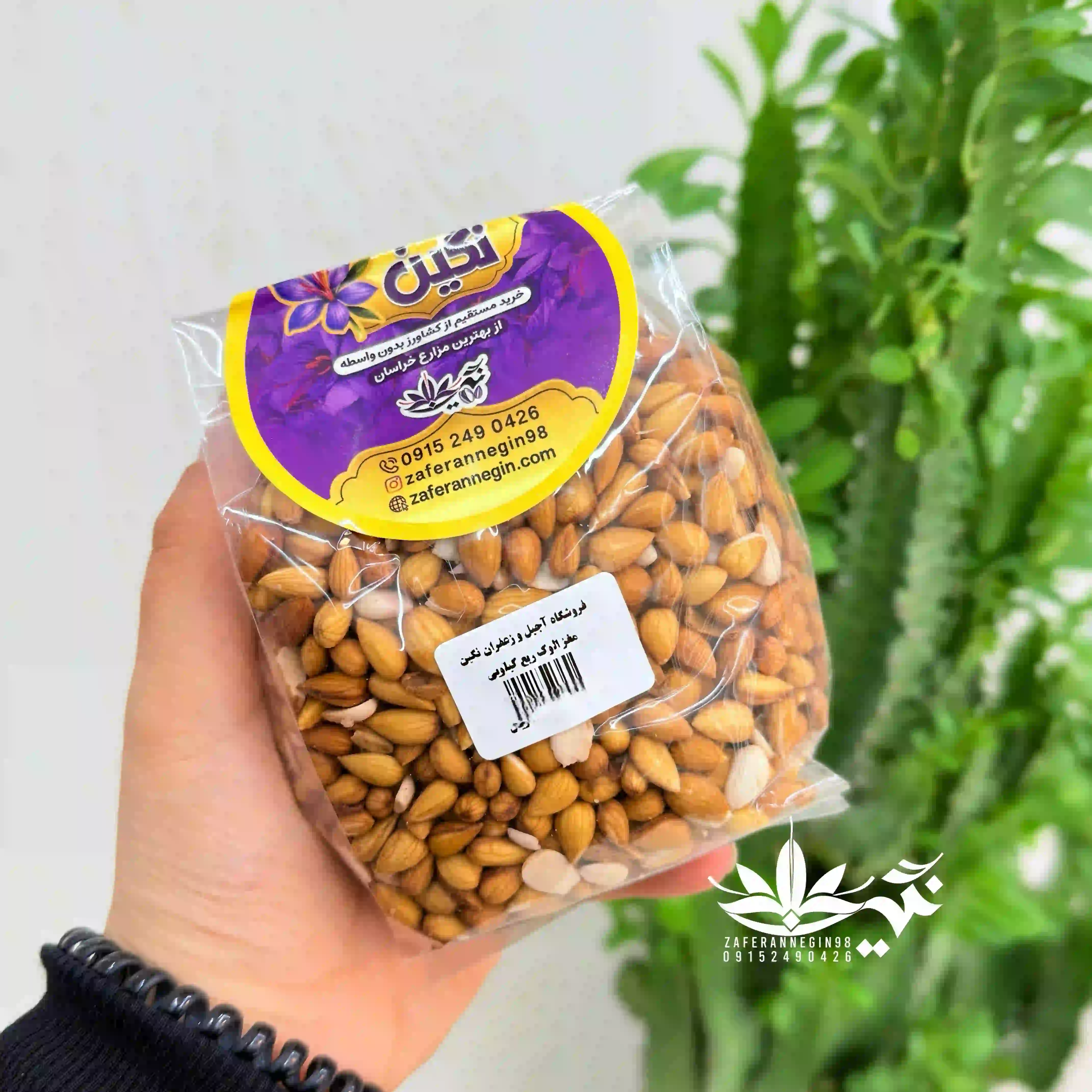 مغز بادام کوهی 