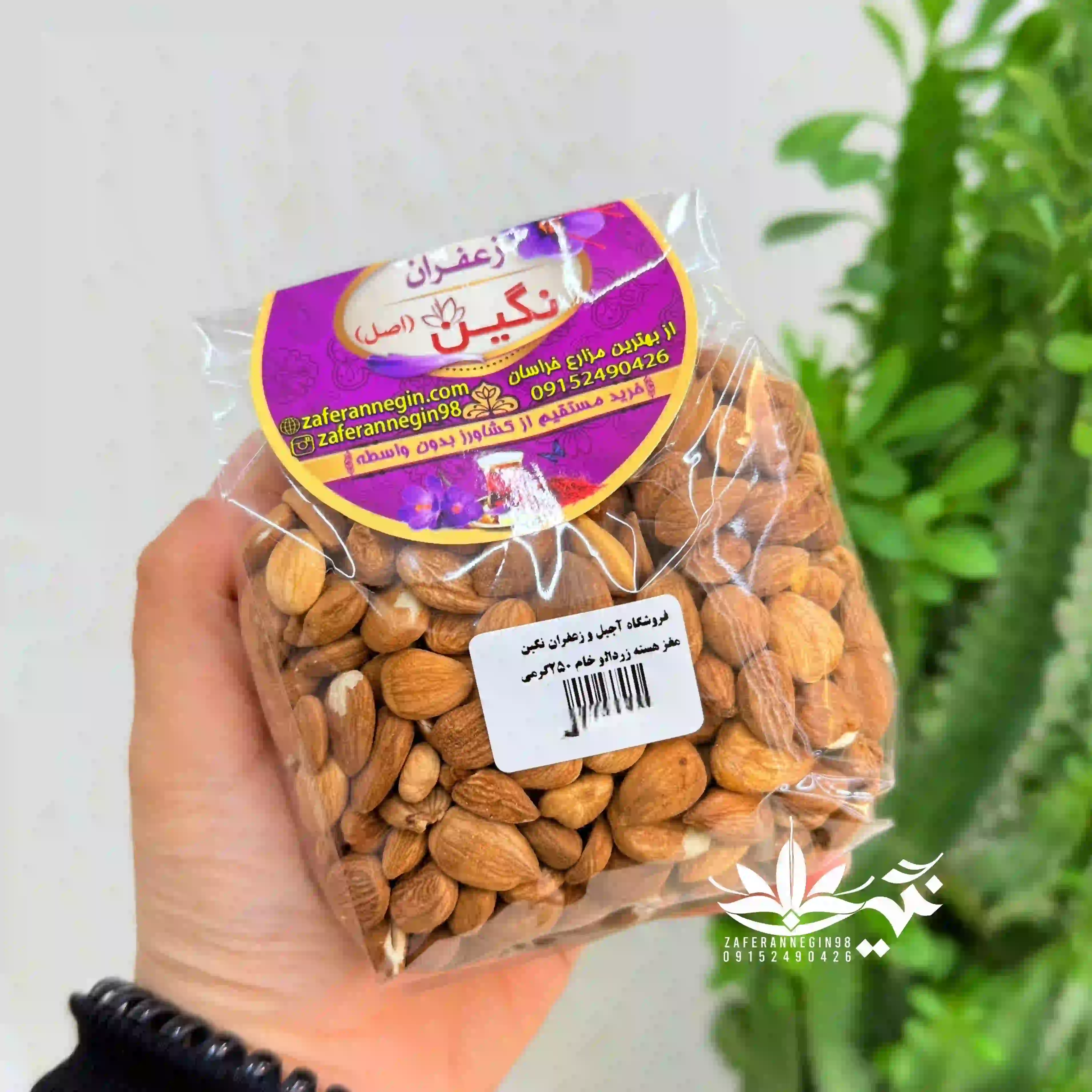مغز هسته زردآلو