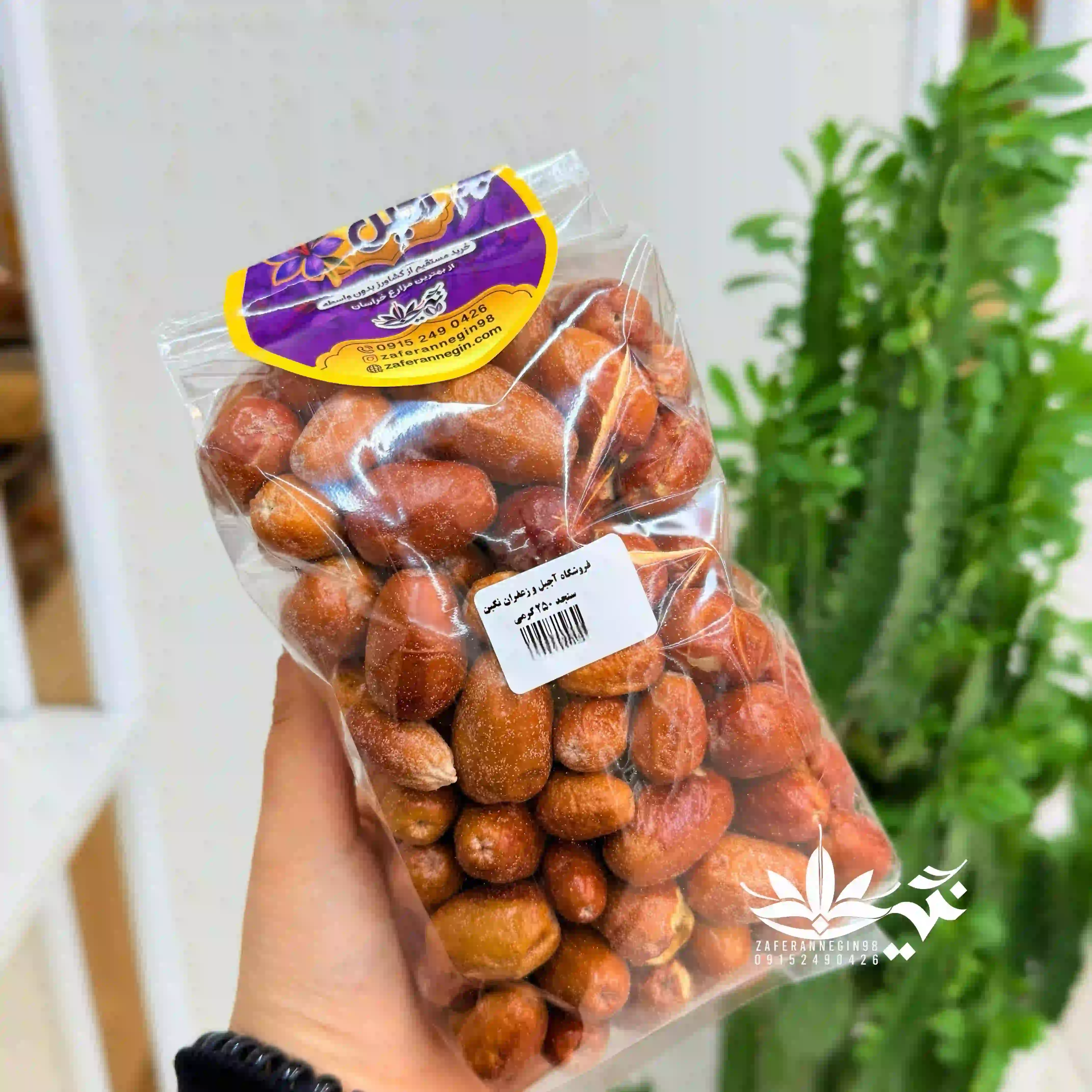 سنجد اعلا درشت شیرین