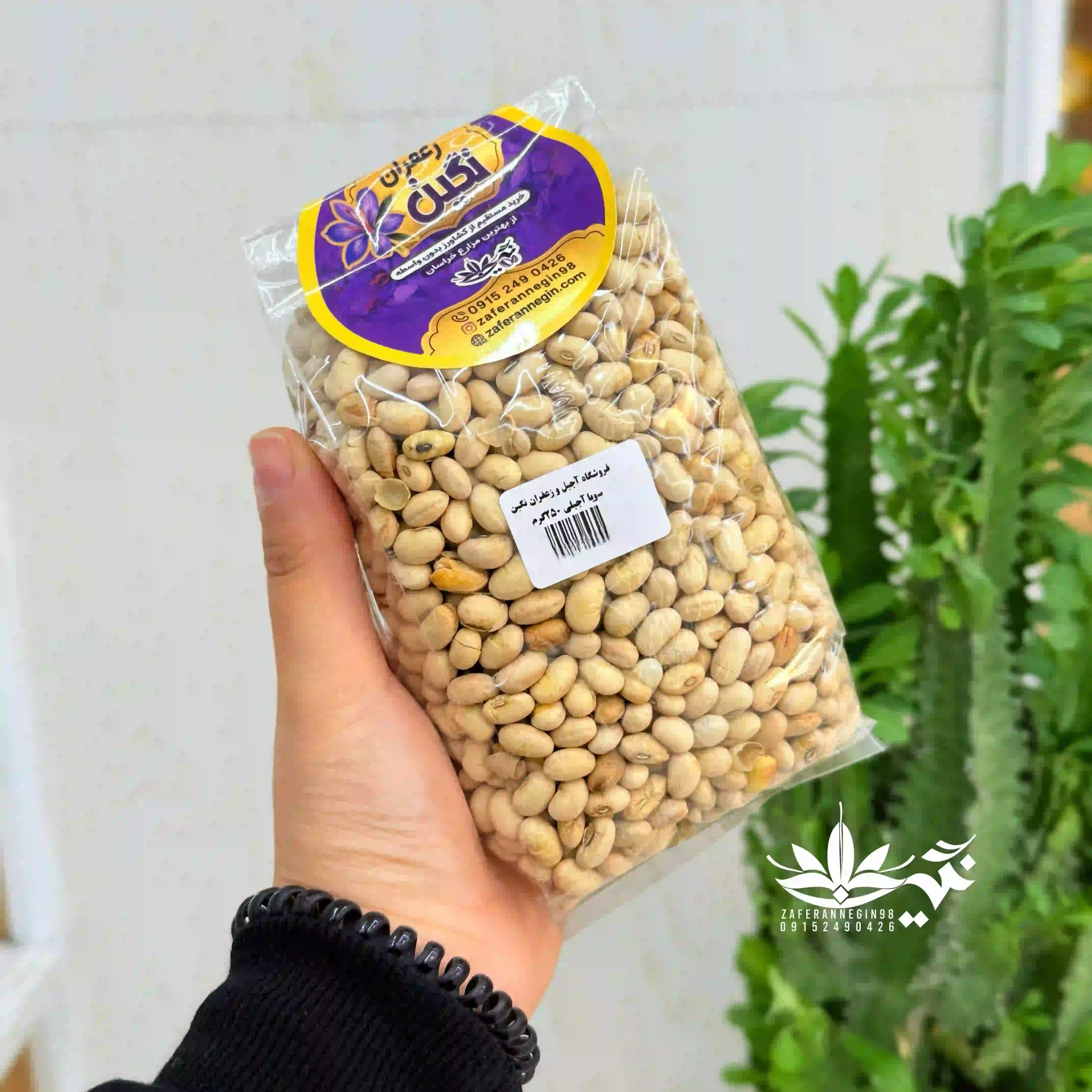 سویا آجیلی