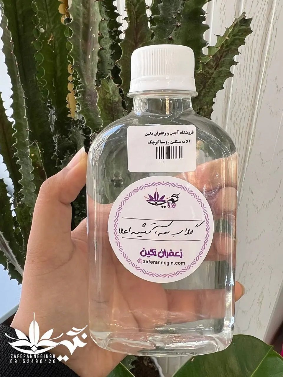گلاب فوق سنگین روستا