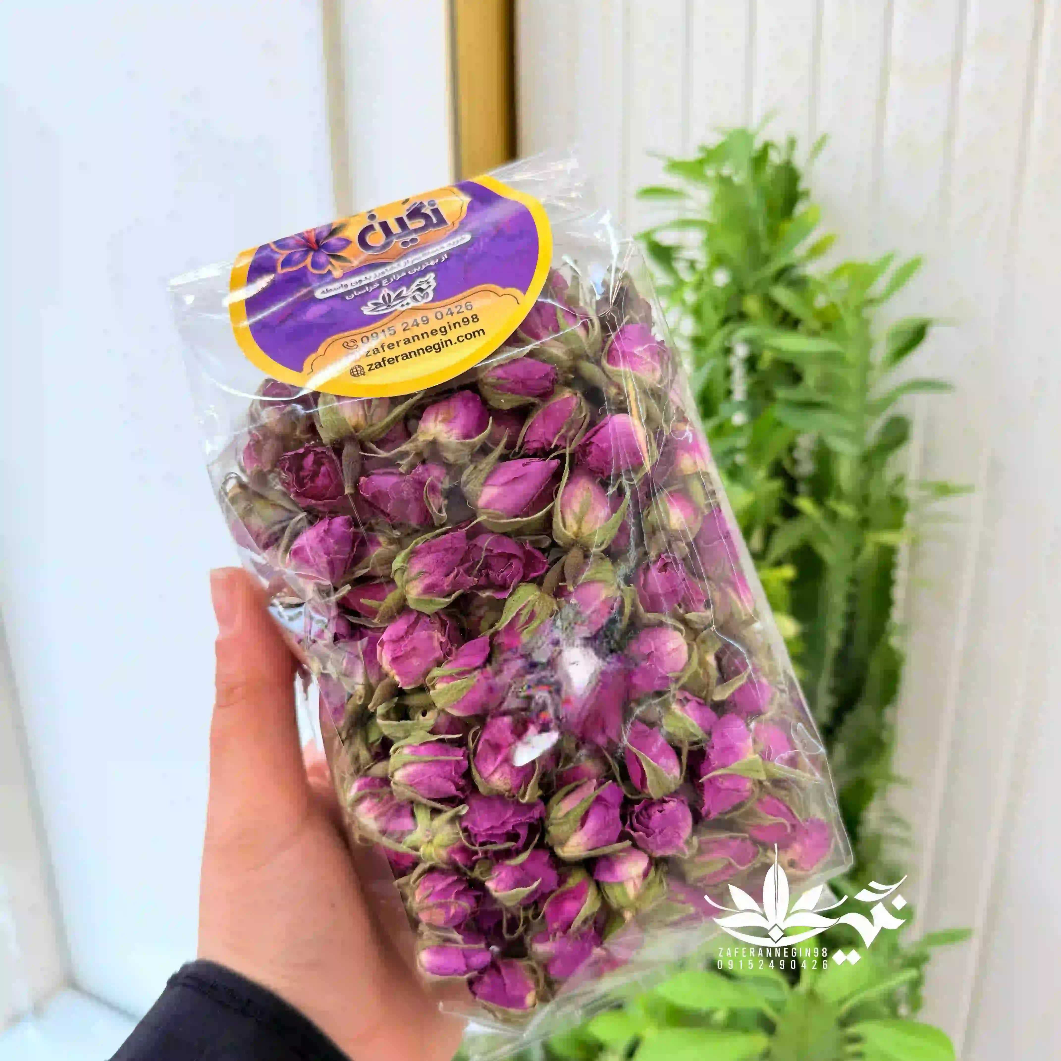 غنچه  گل محمدی لوکس