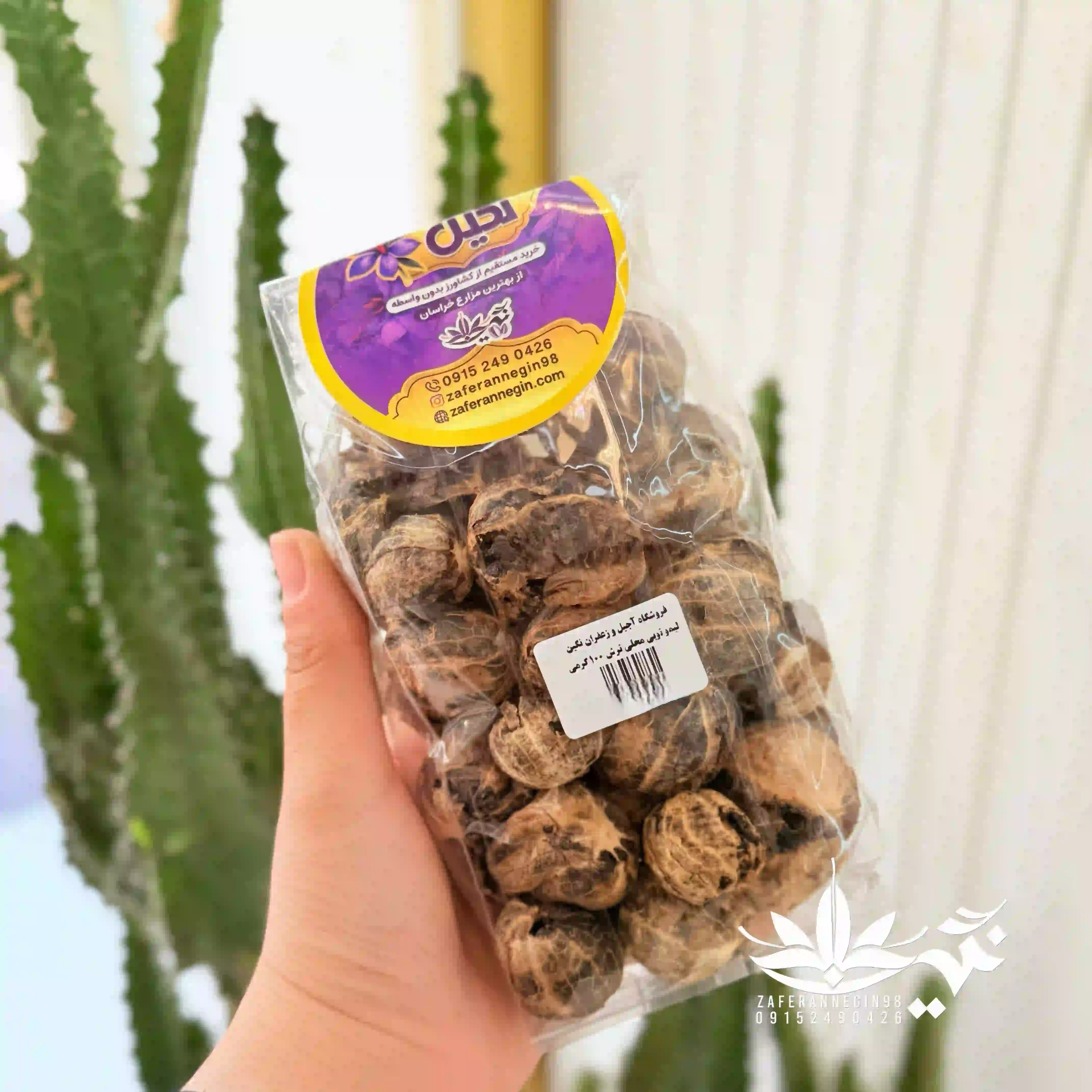 لیمو توپی (ببری)
