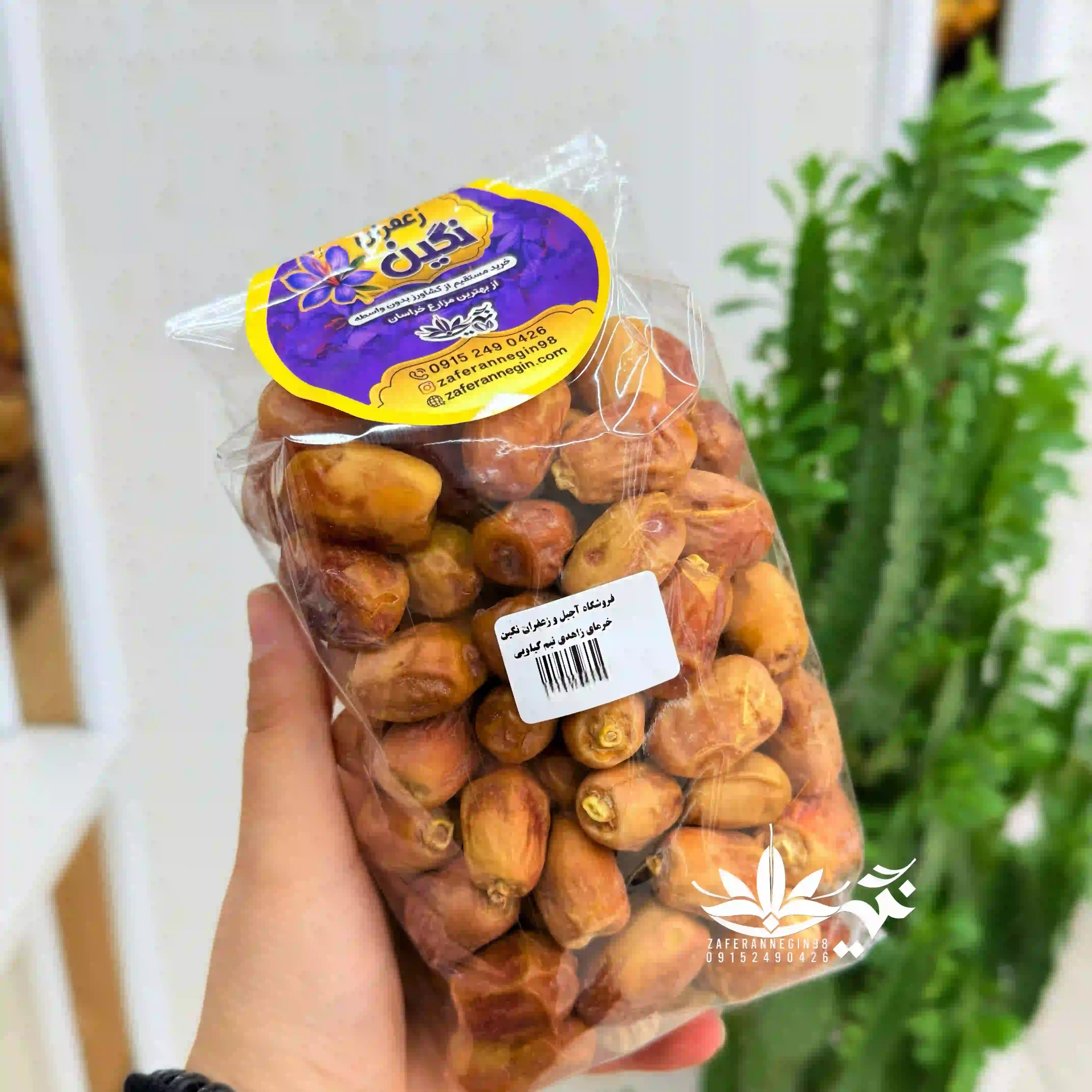 خرما زاهدی