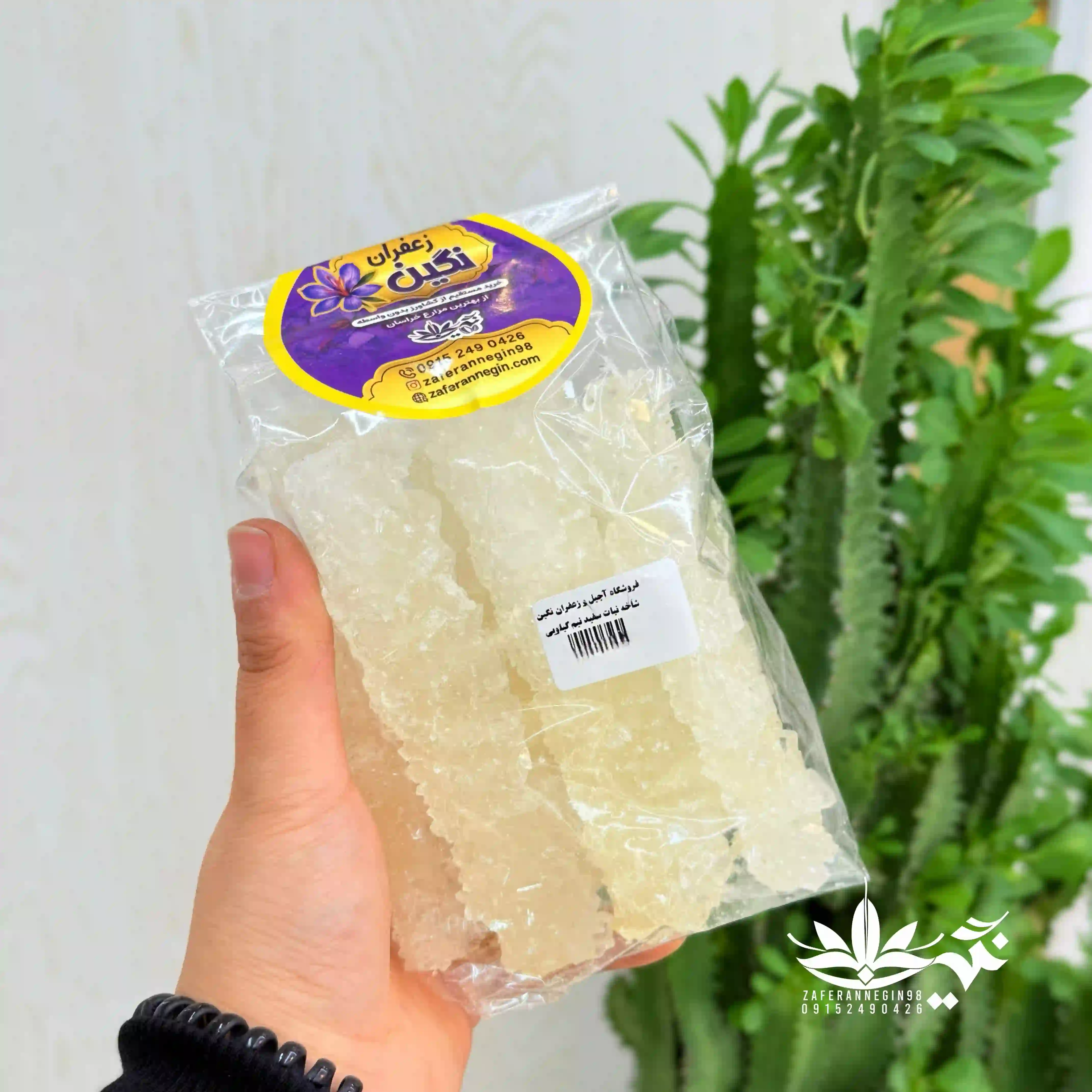 نبات  شاخه طبیعی سفید 
