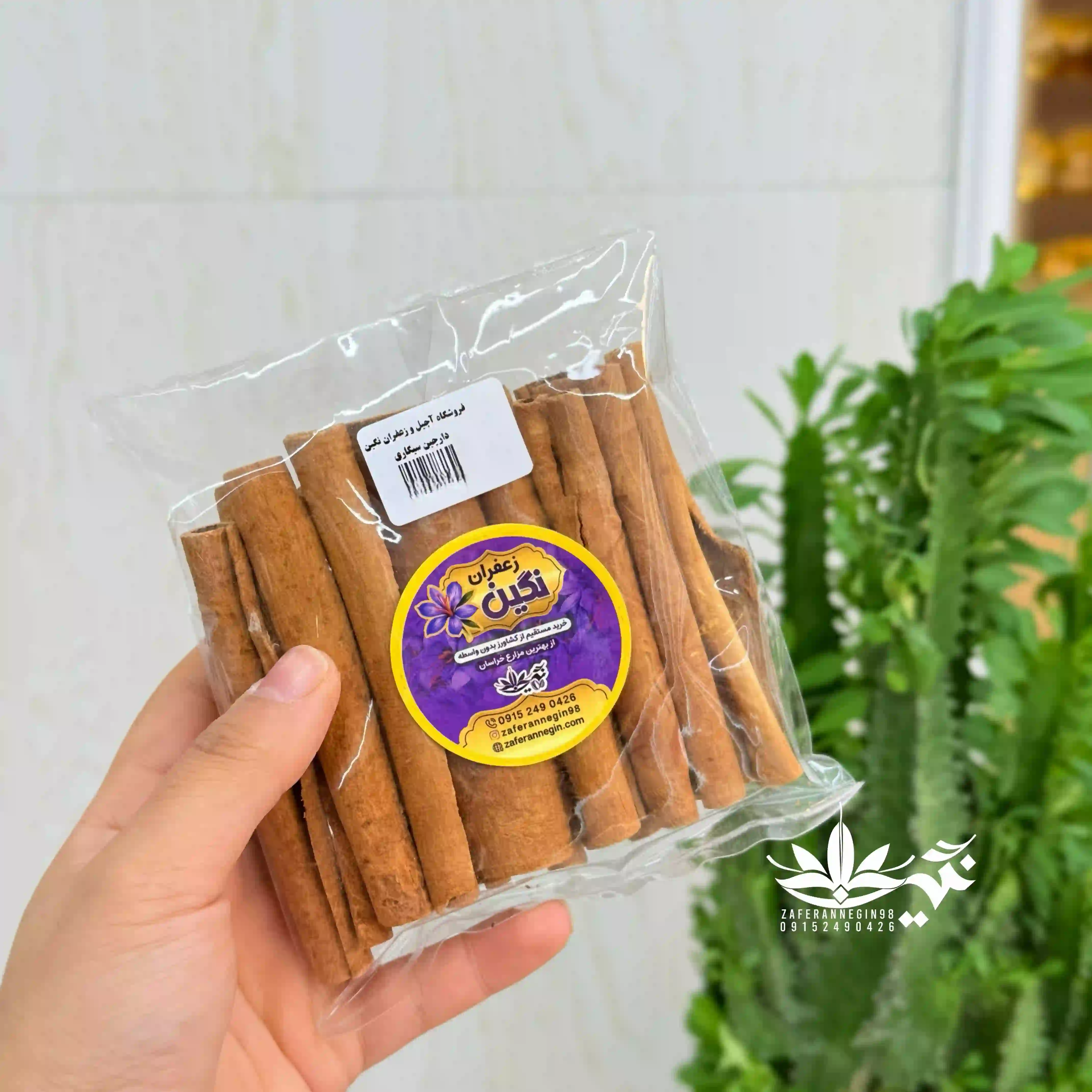 دارچین  سیگاری 