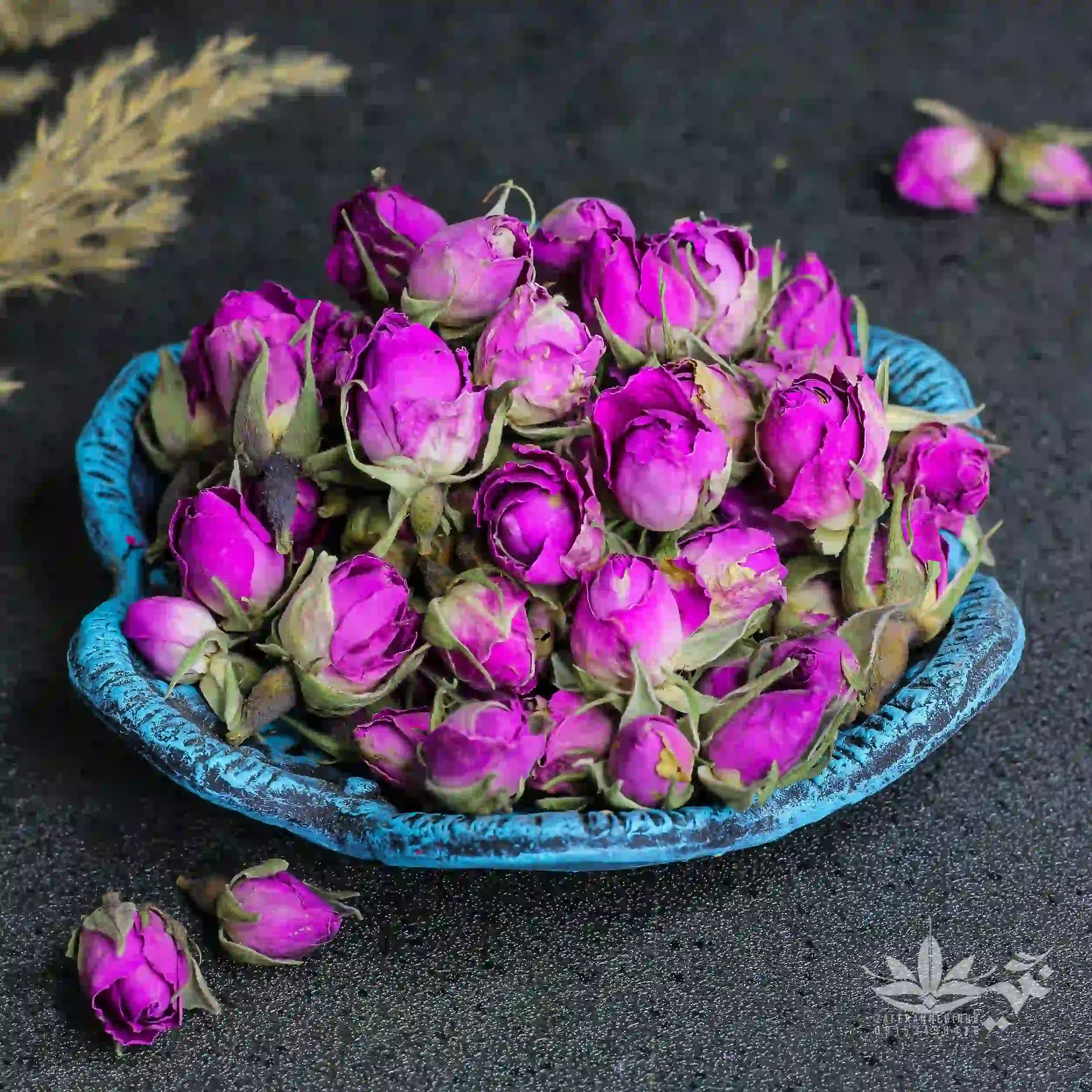 غنچه  گل محمدی لوکس