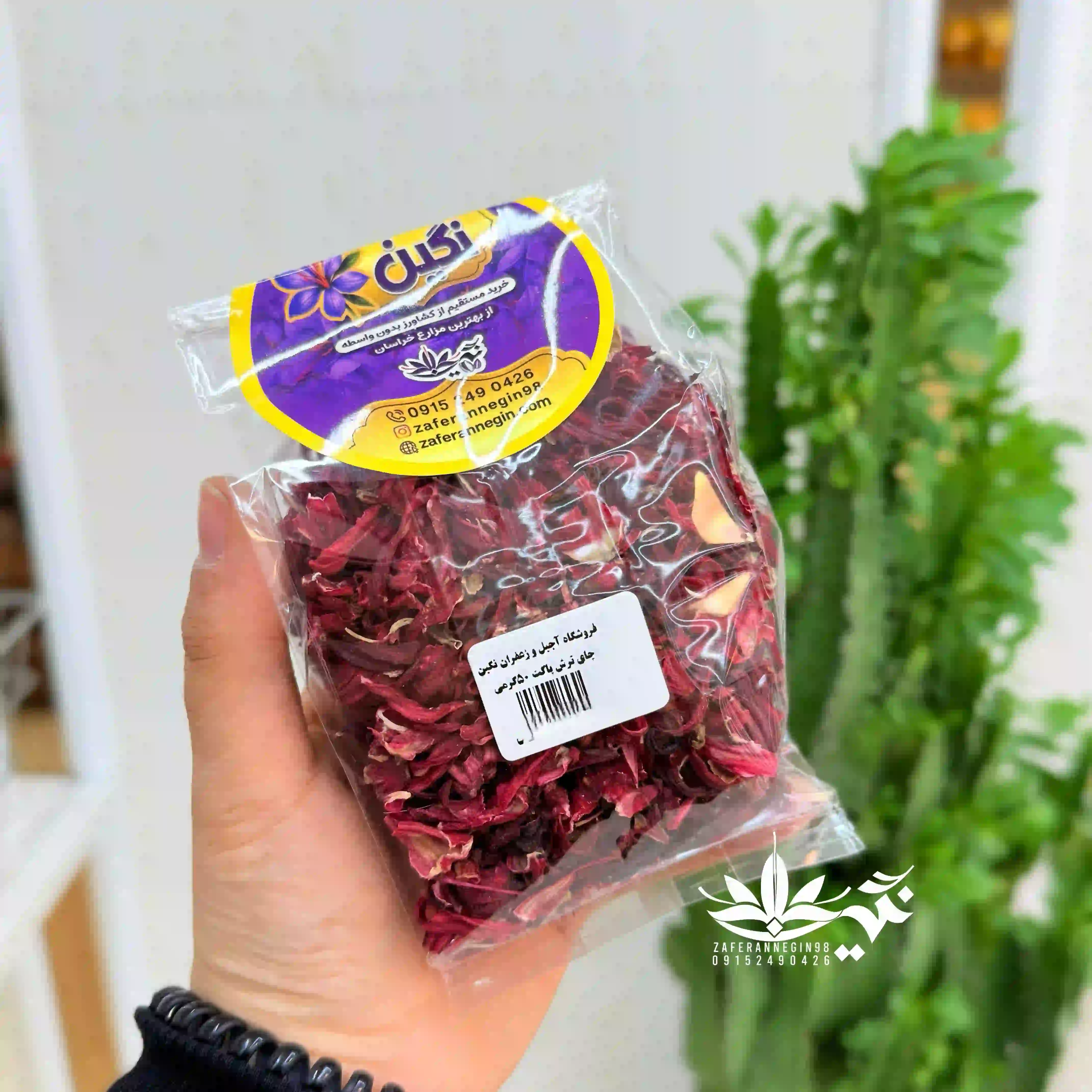 چای ترش 