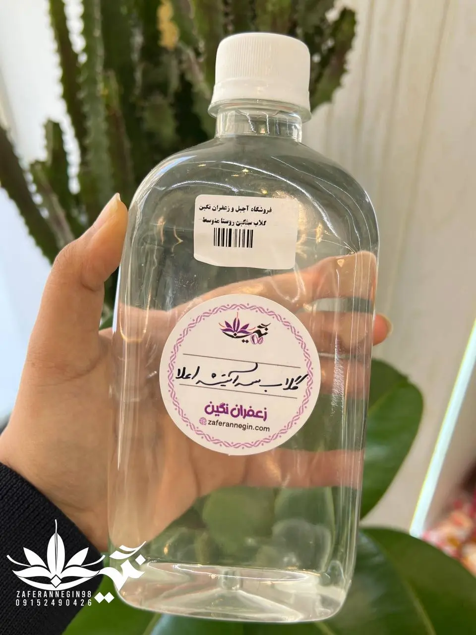 گلاب فوق سنگین روستا