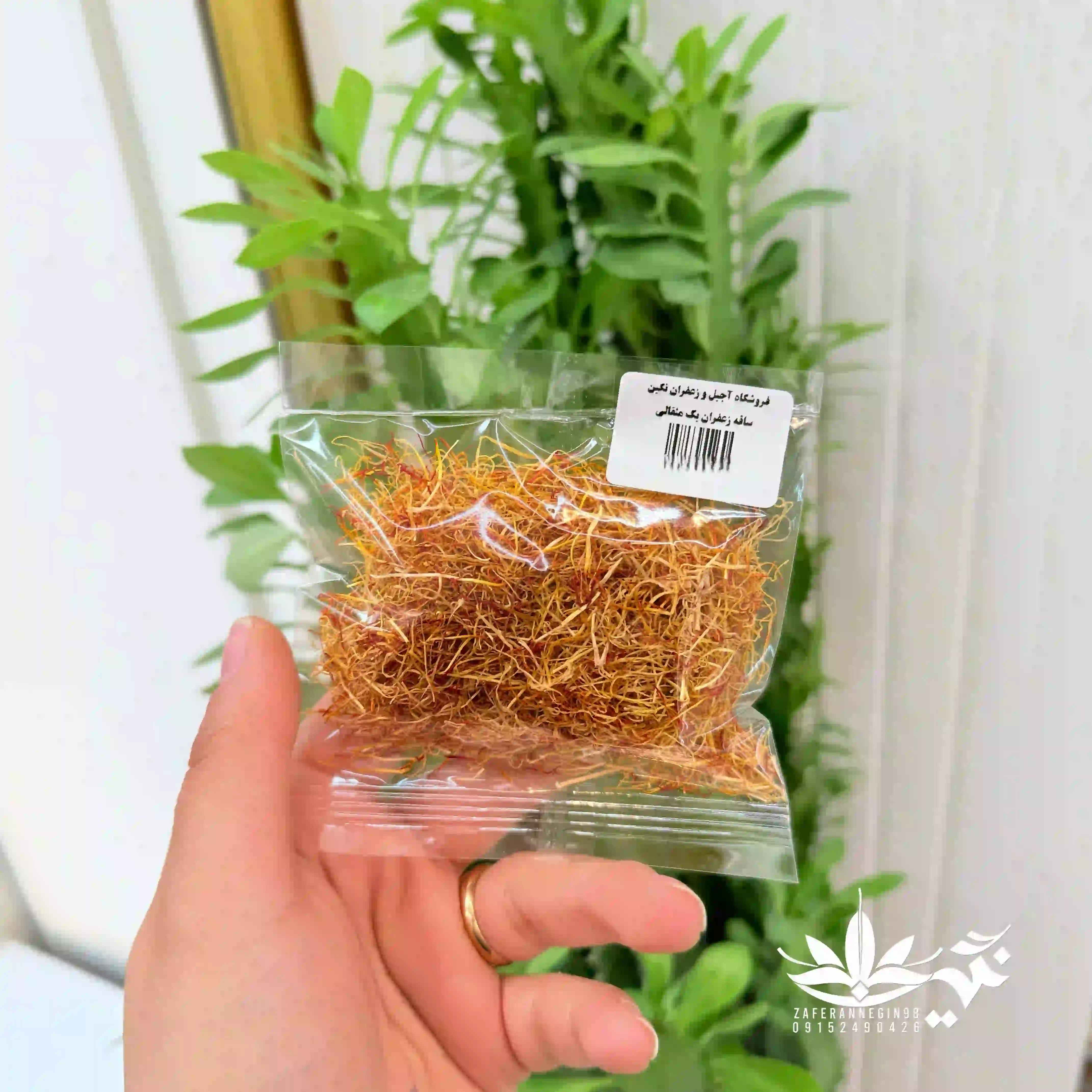ریشه زعفران (ساقه زعفران) با قرمزی بسیار بالا