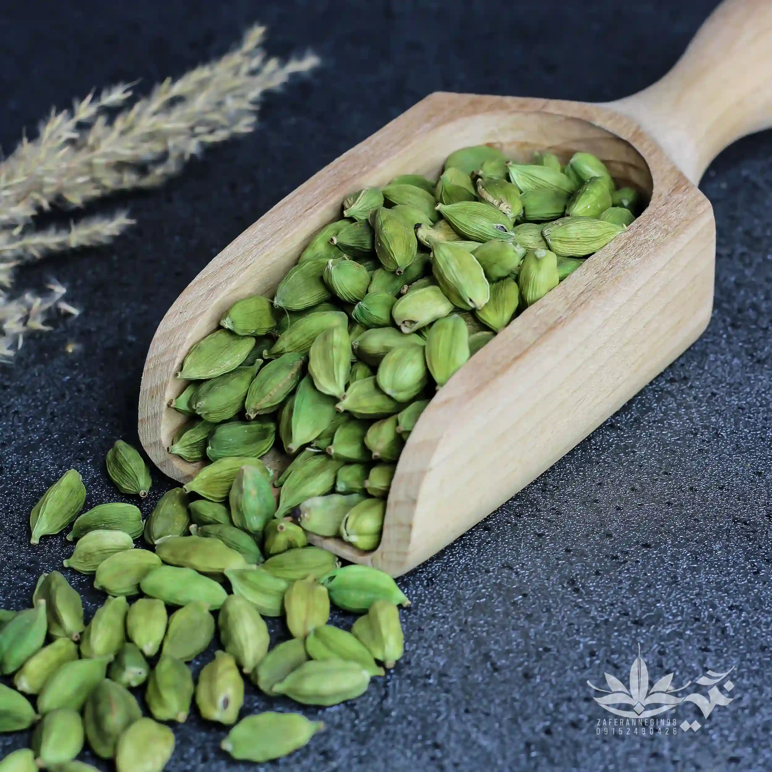 هل اکبر بنفش