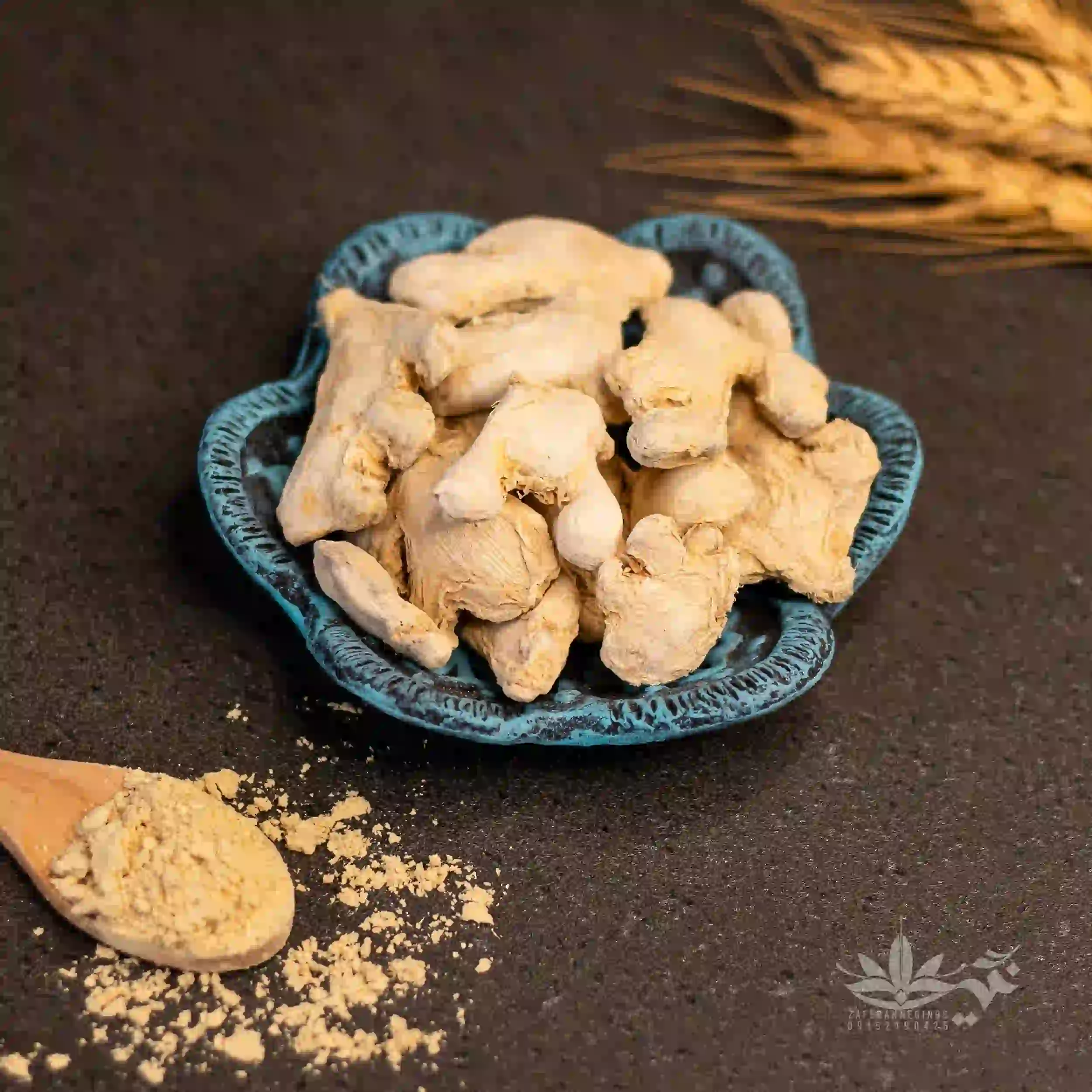 قلم زنجبیل