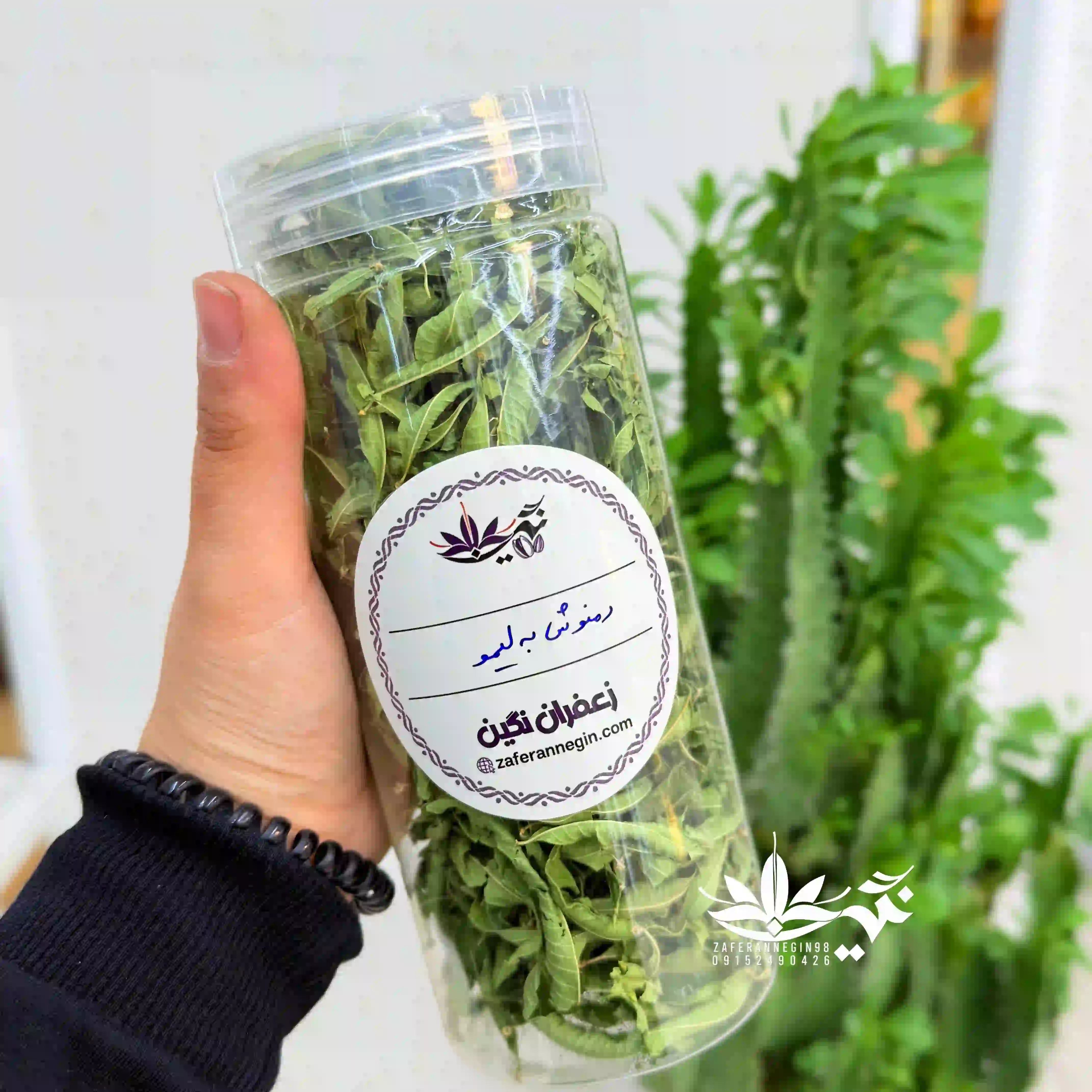به لیمو
