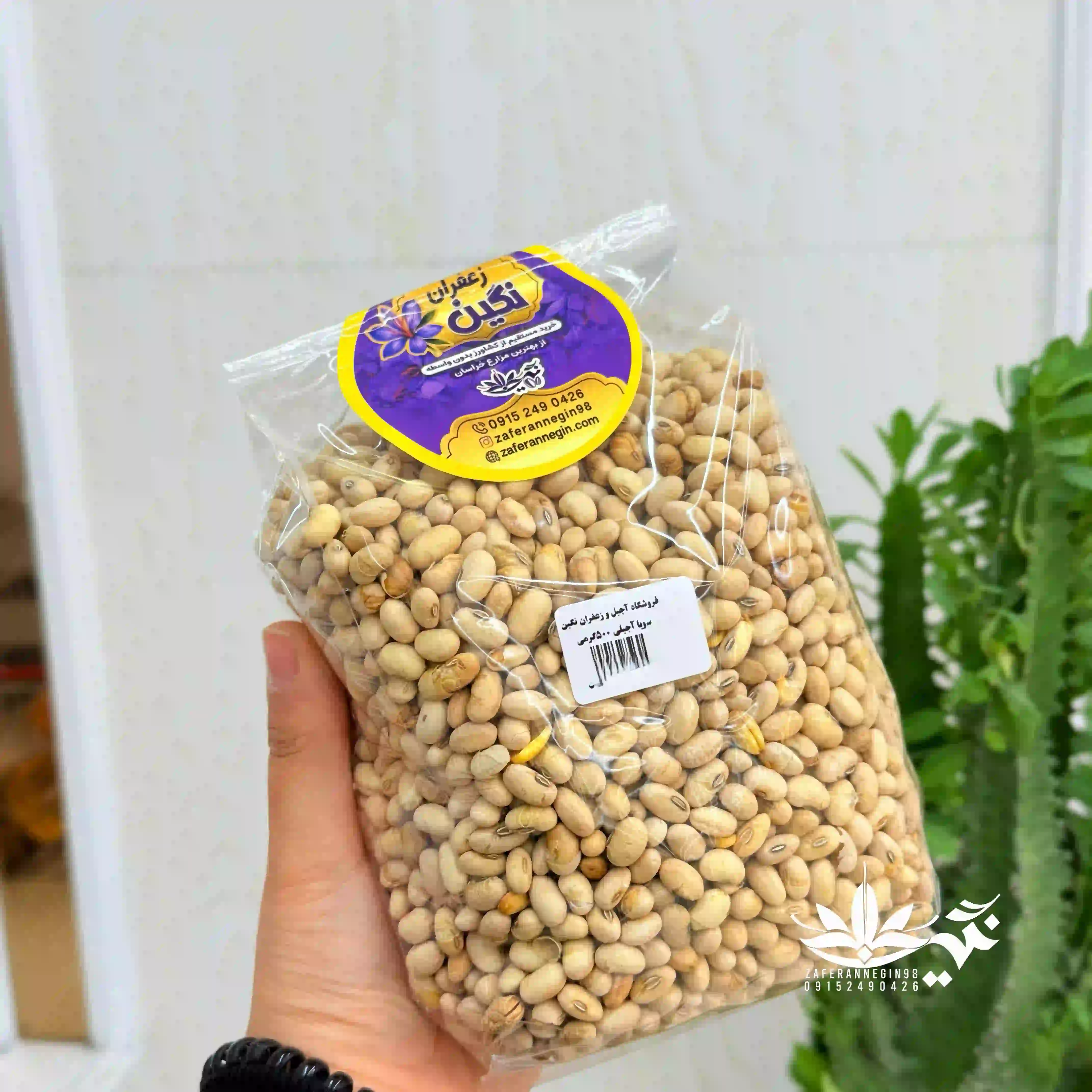 سویا آجیلی