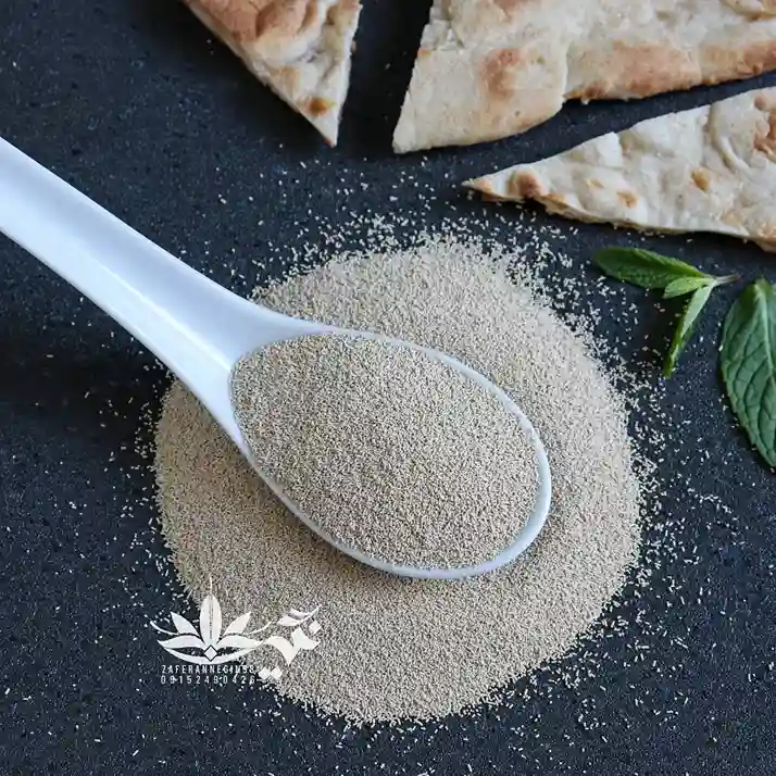 خمیر مایه اعلا 