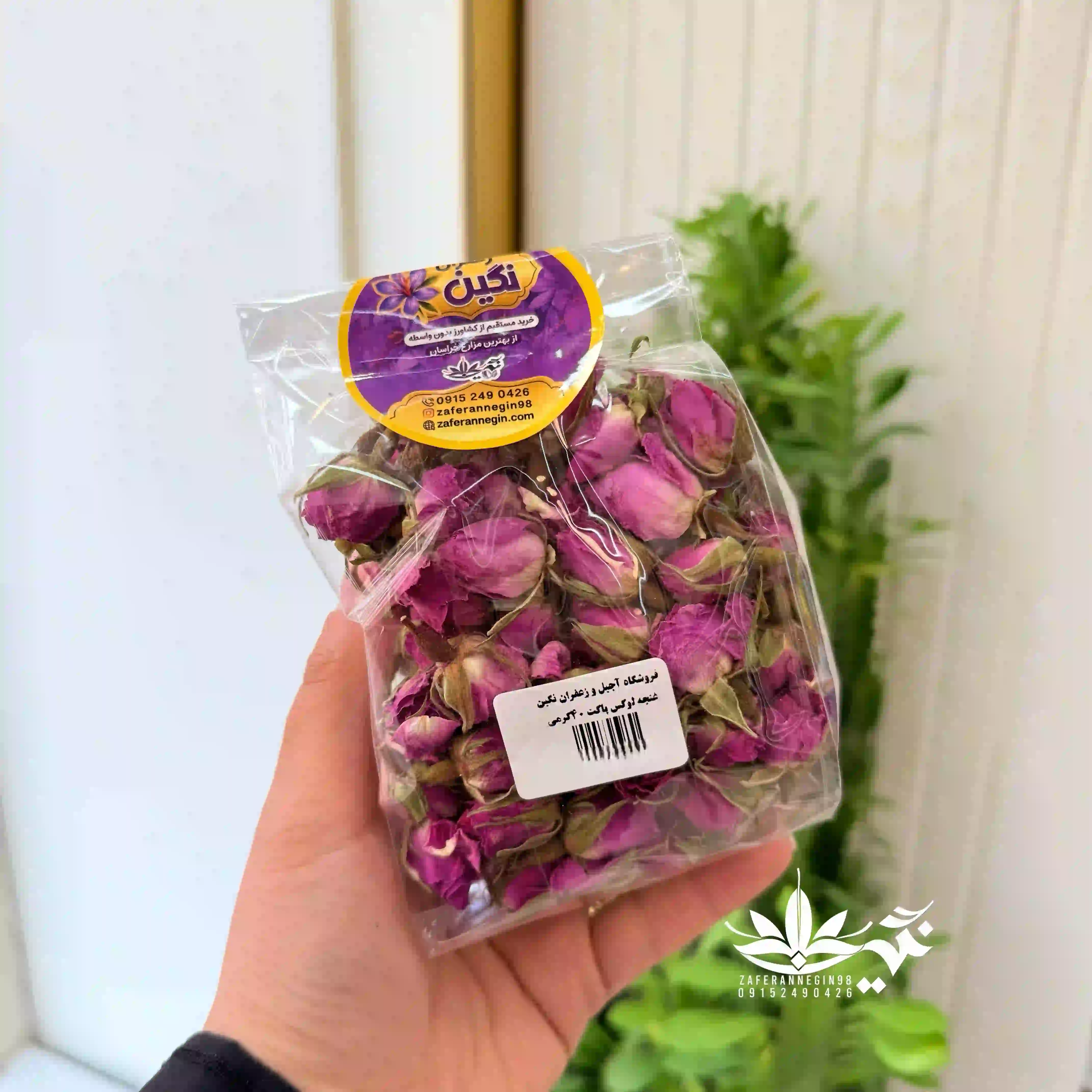 غنچه  گل محمدی لوکس