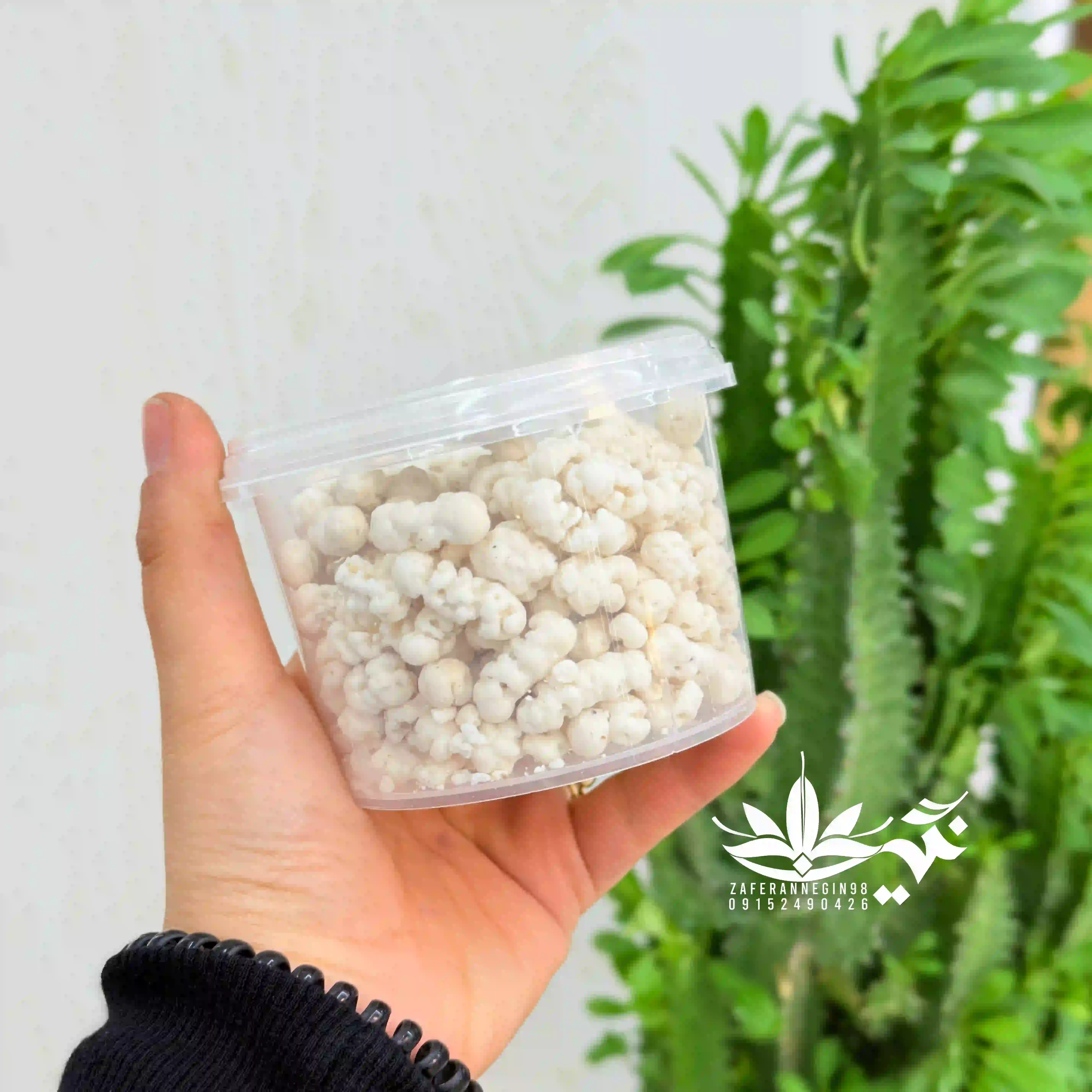 نقل گل و گلاب مغز دار