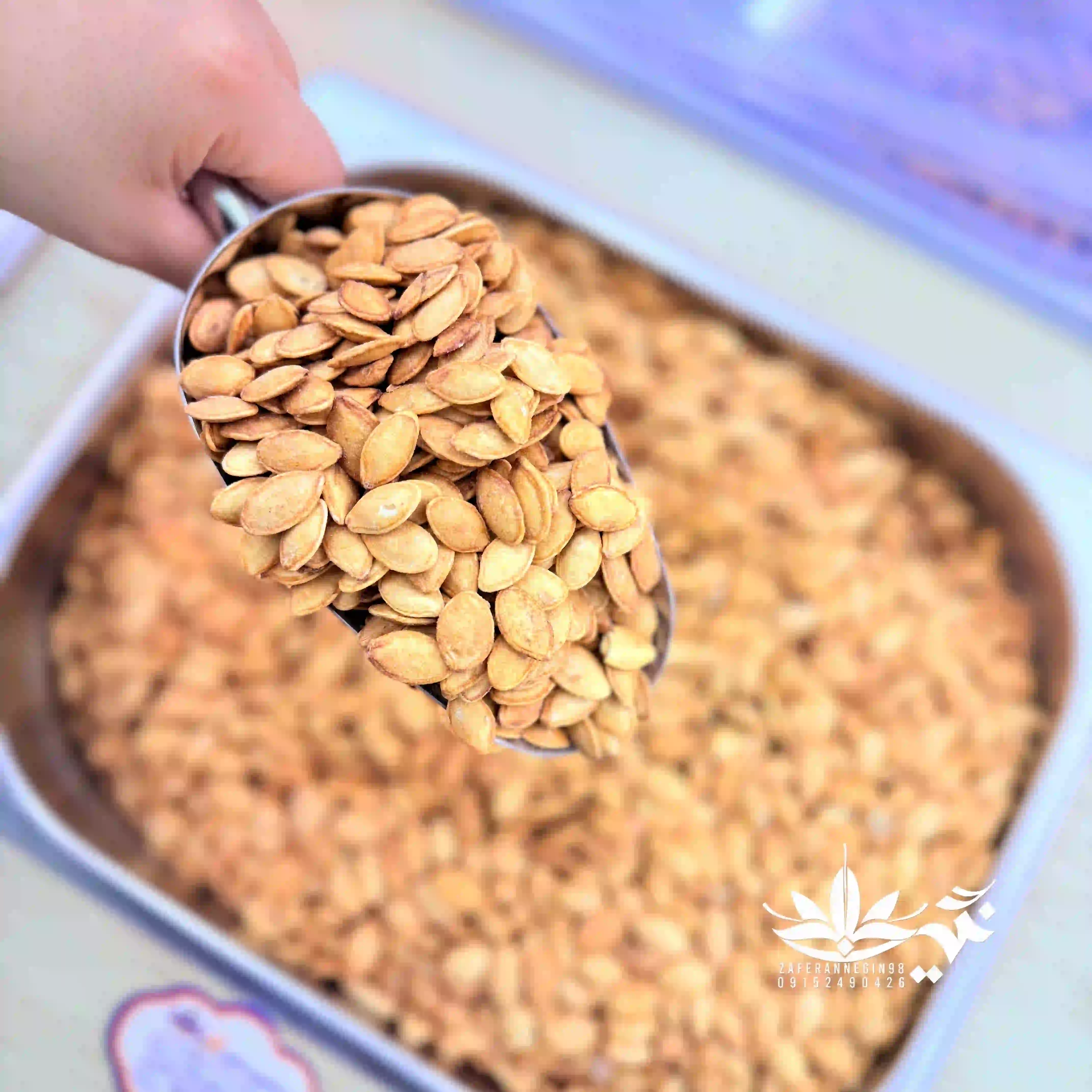 تخمه کدو گوشتی دوآتیشه 