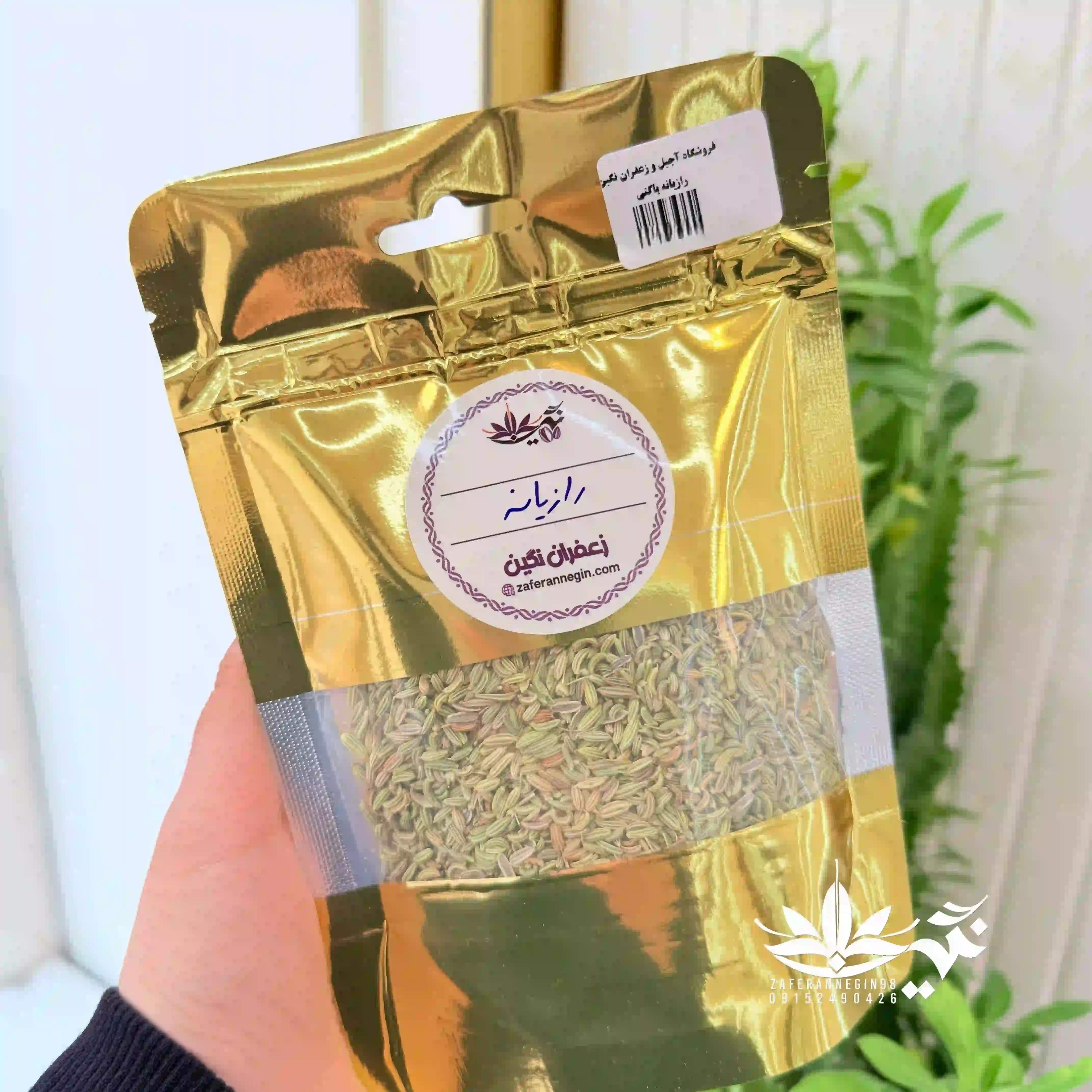 رازیانه 