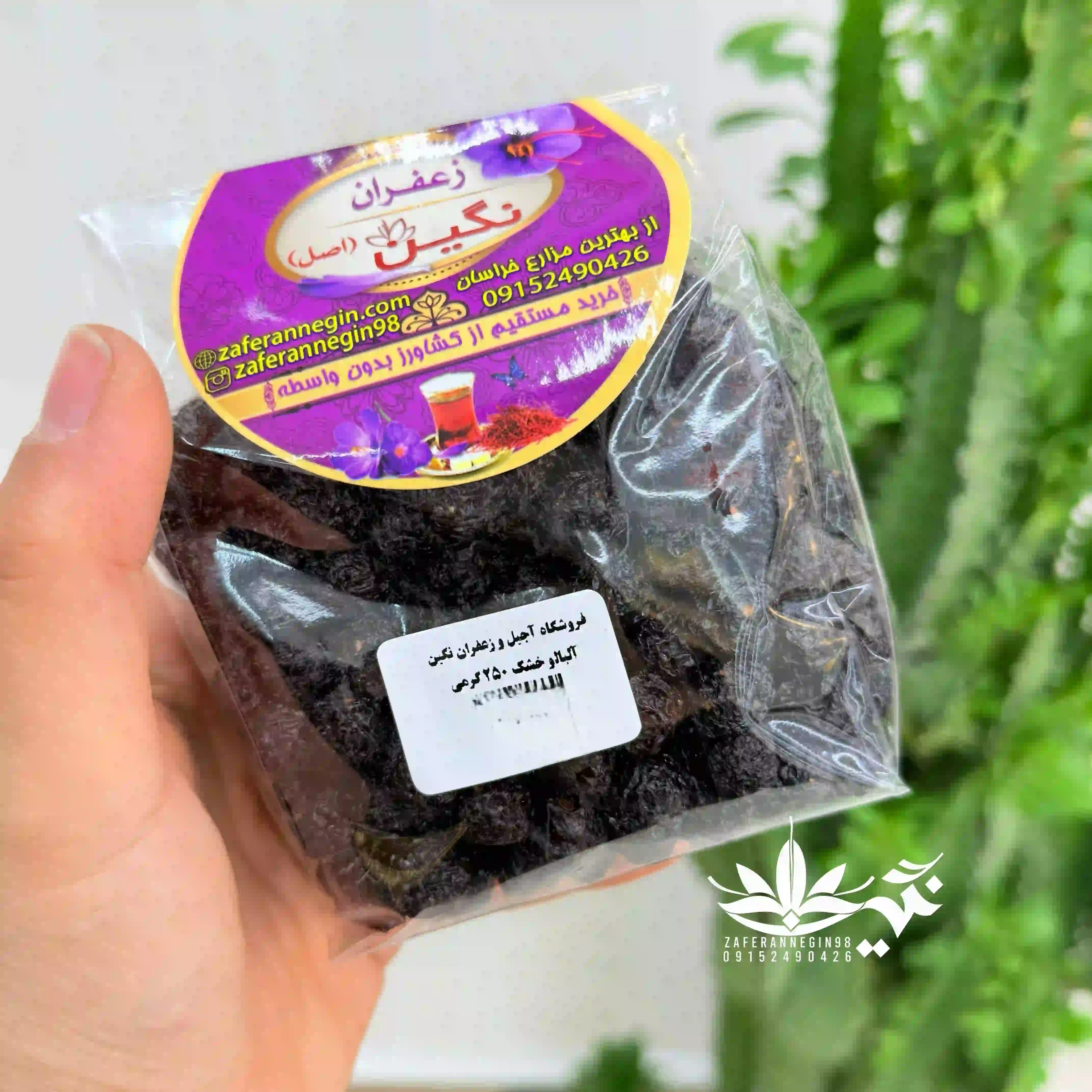 آلبالو خشک 